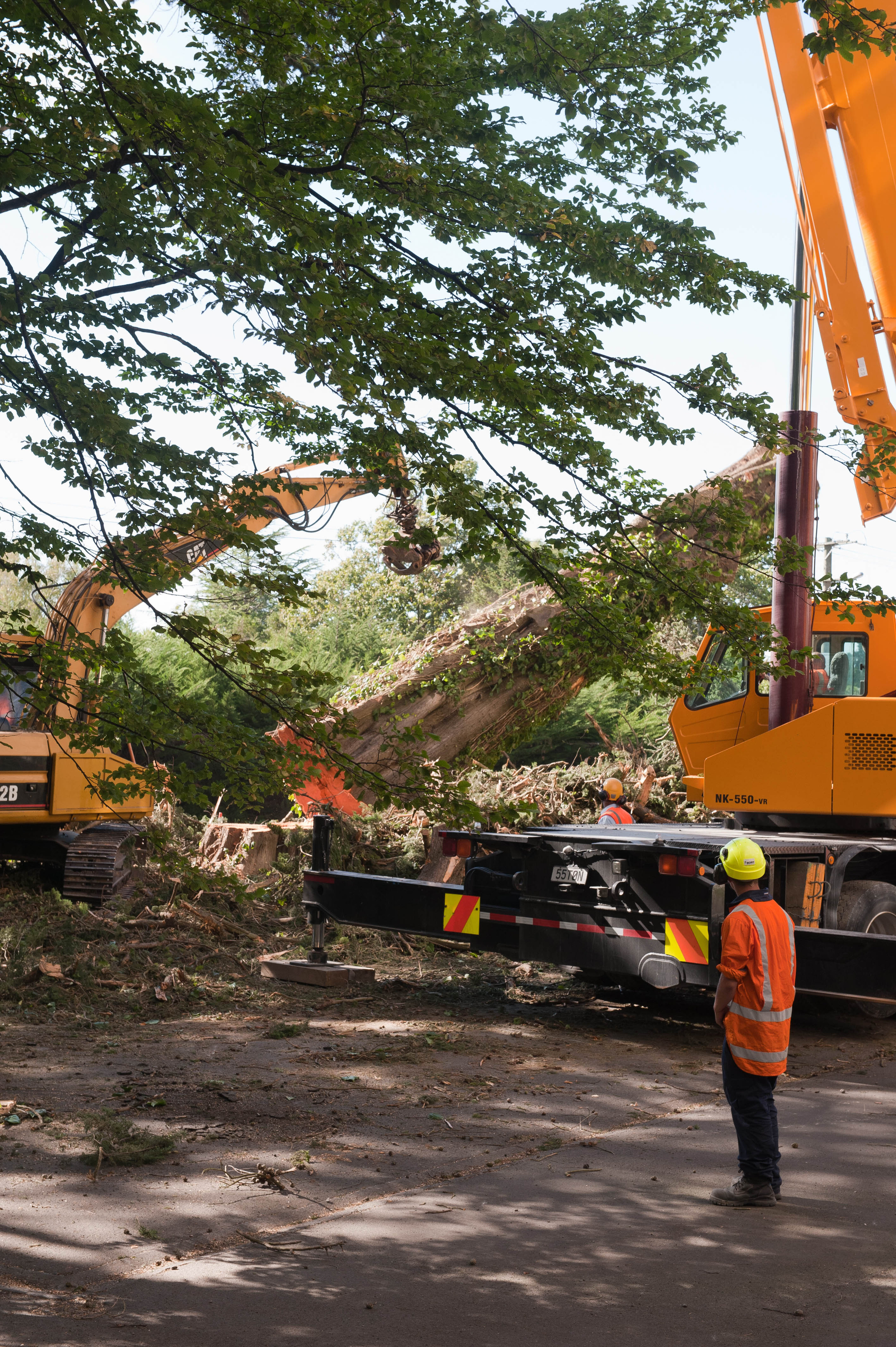 Hilgendorf Redevelopment 9