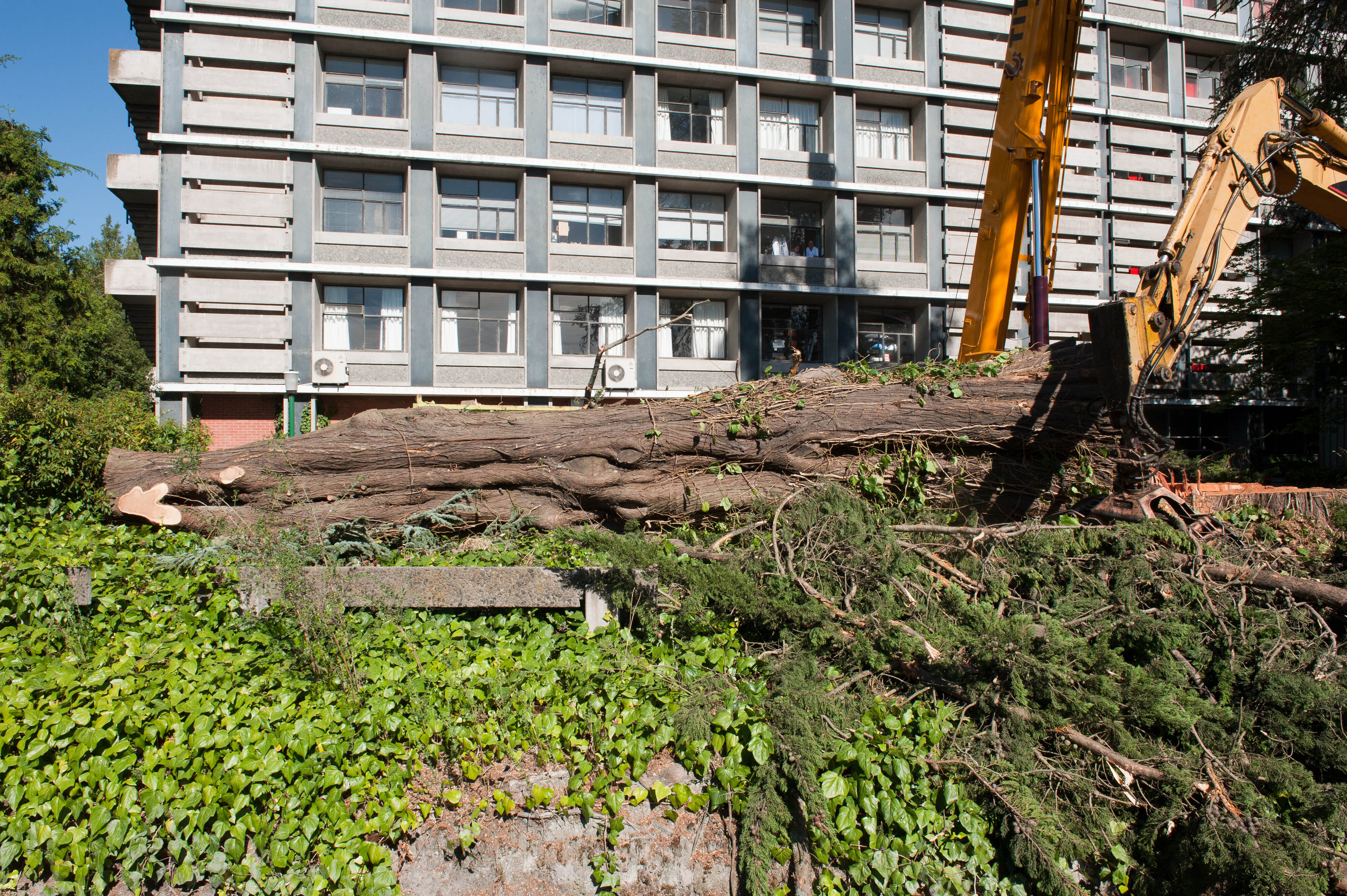 Hilgendorf Redevelopment 10