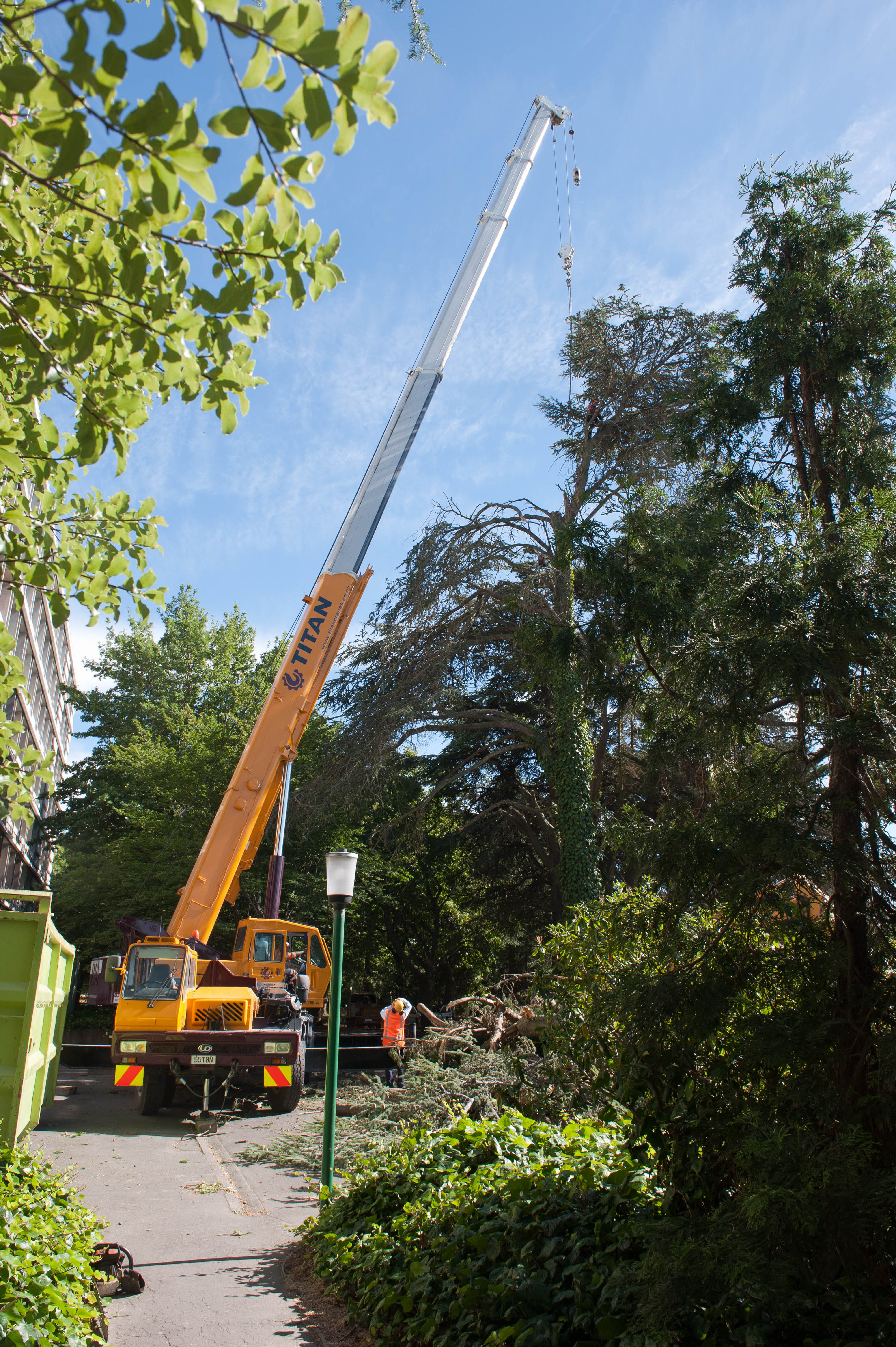 Hilgendorf Redevelopment 11