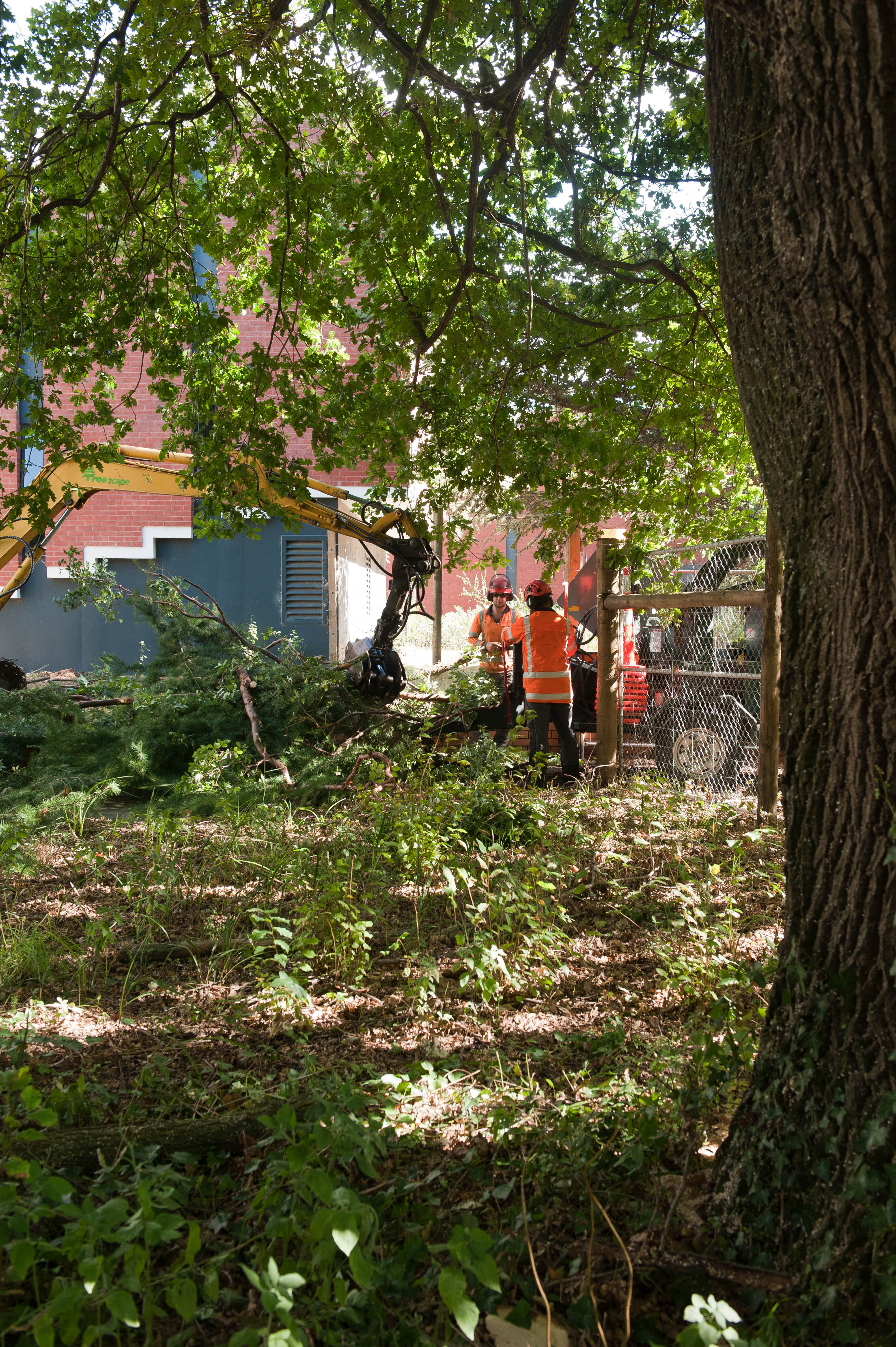 Hilgendorf Redevelopment 16