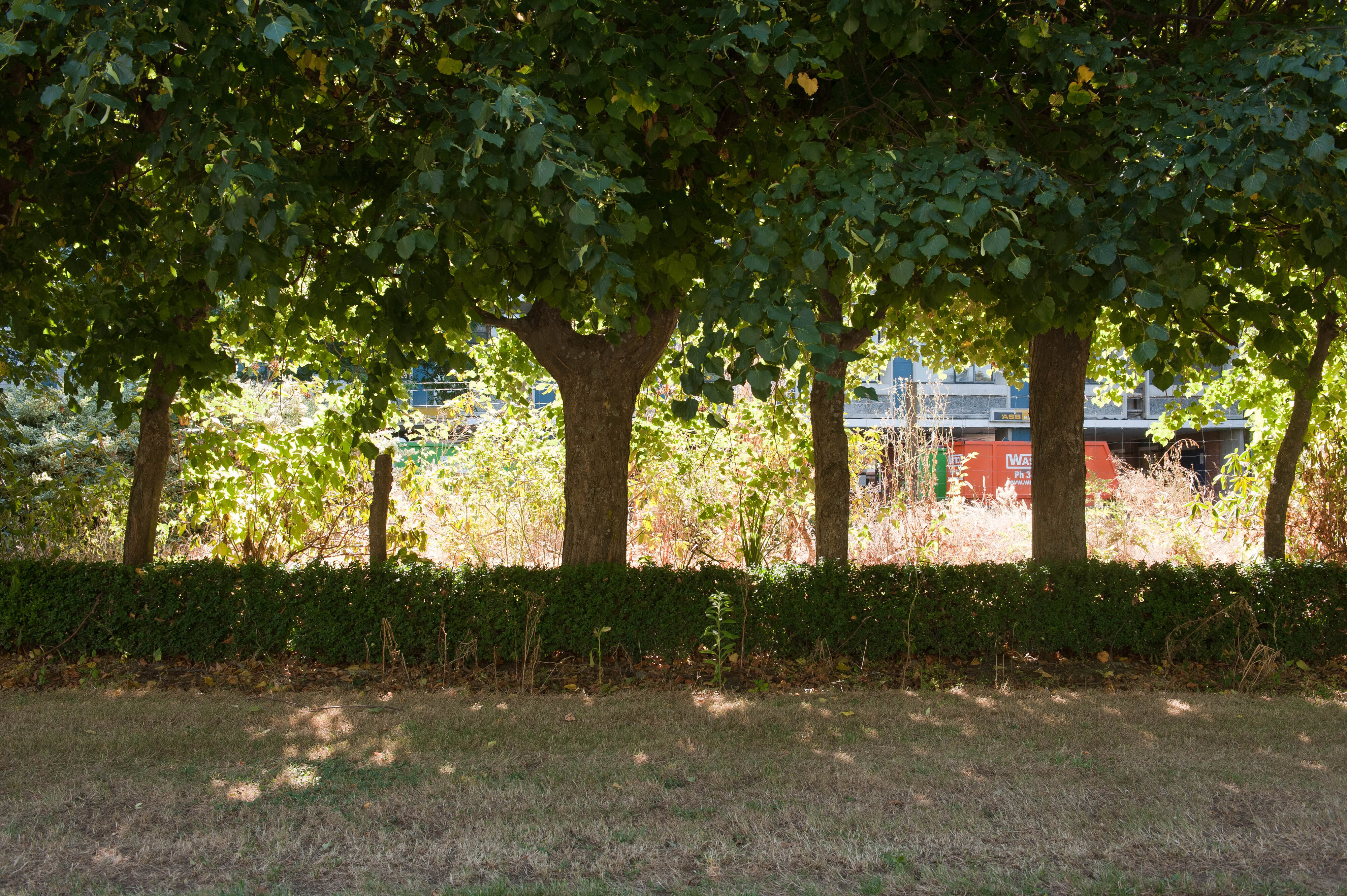 Hilgendorf Redevelopment 17