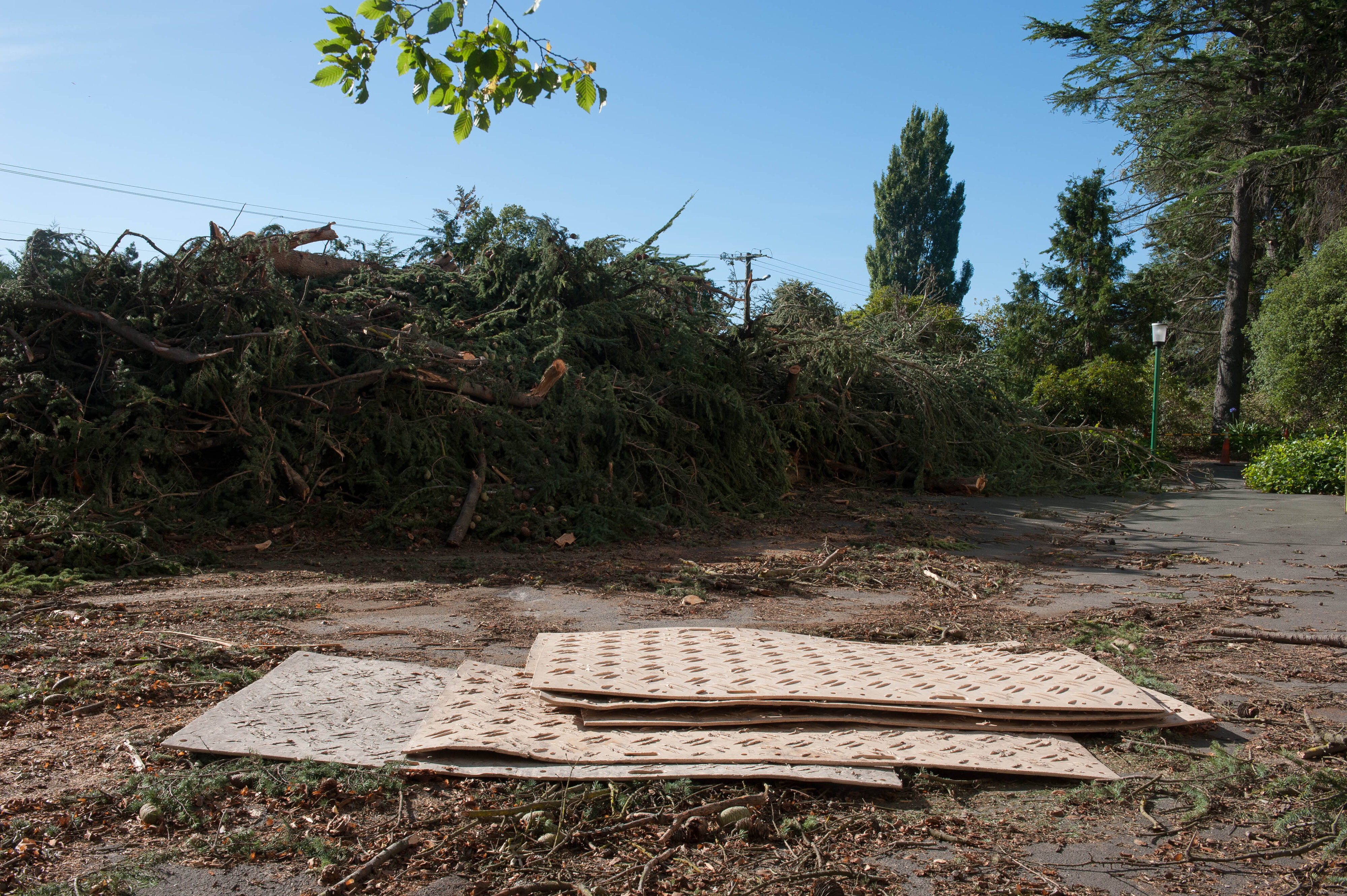 Hilgendorf Redevelopment 21