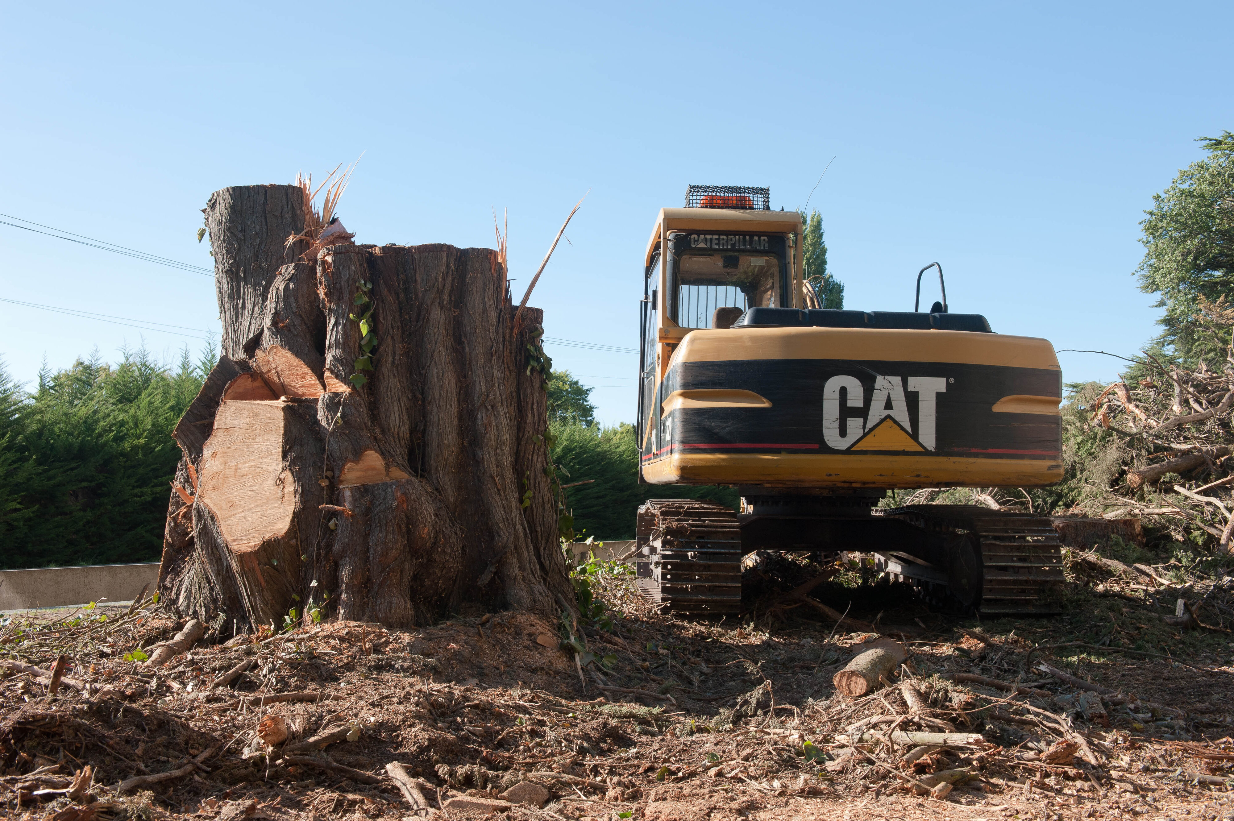 Hilgendorf Redevelopment 23