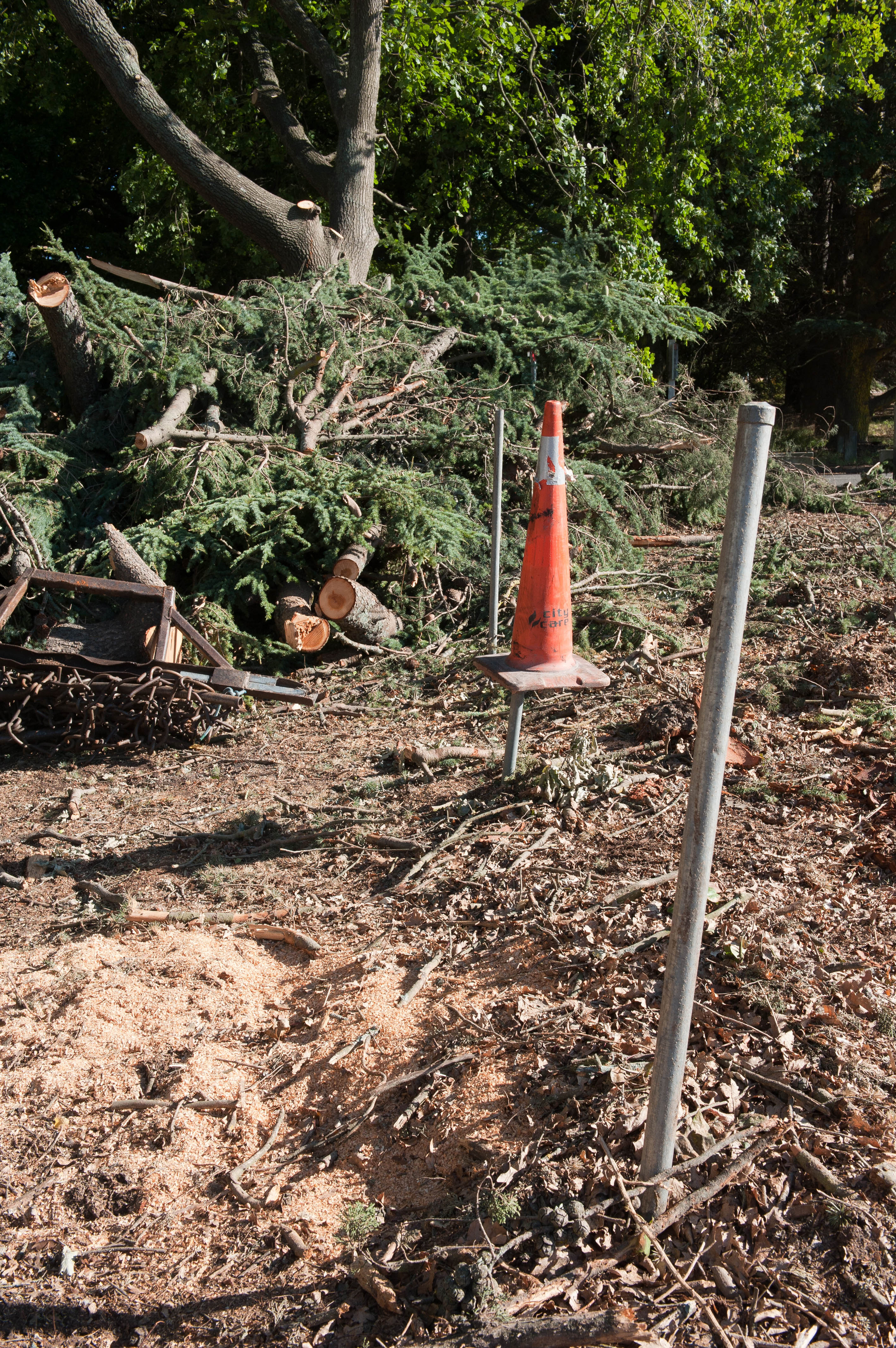 Hilgendorf Redevelopment 24