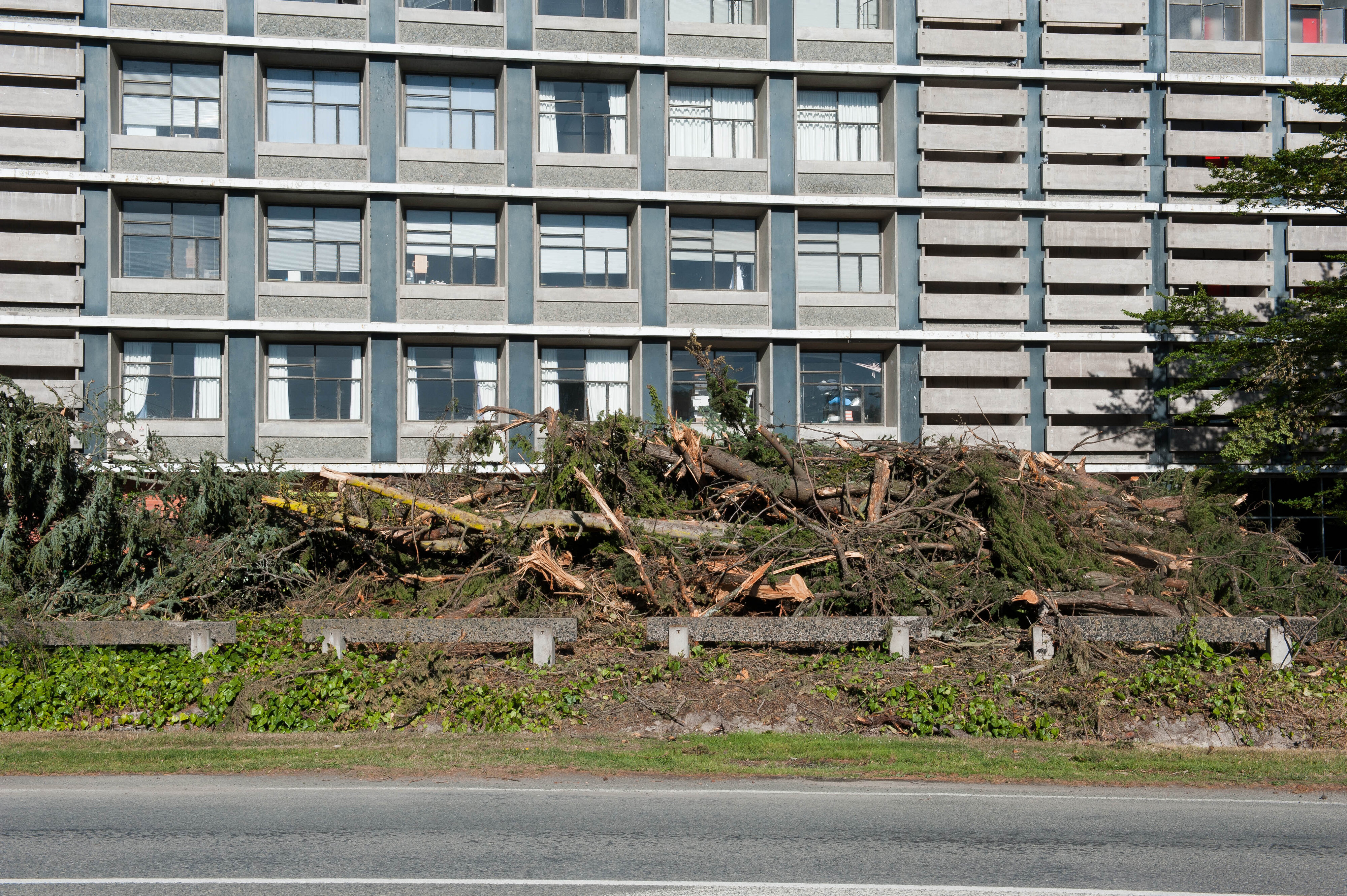 Hilgendorf Redevelopment 29