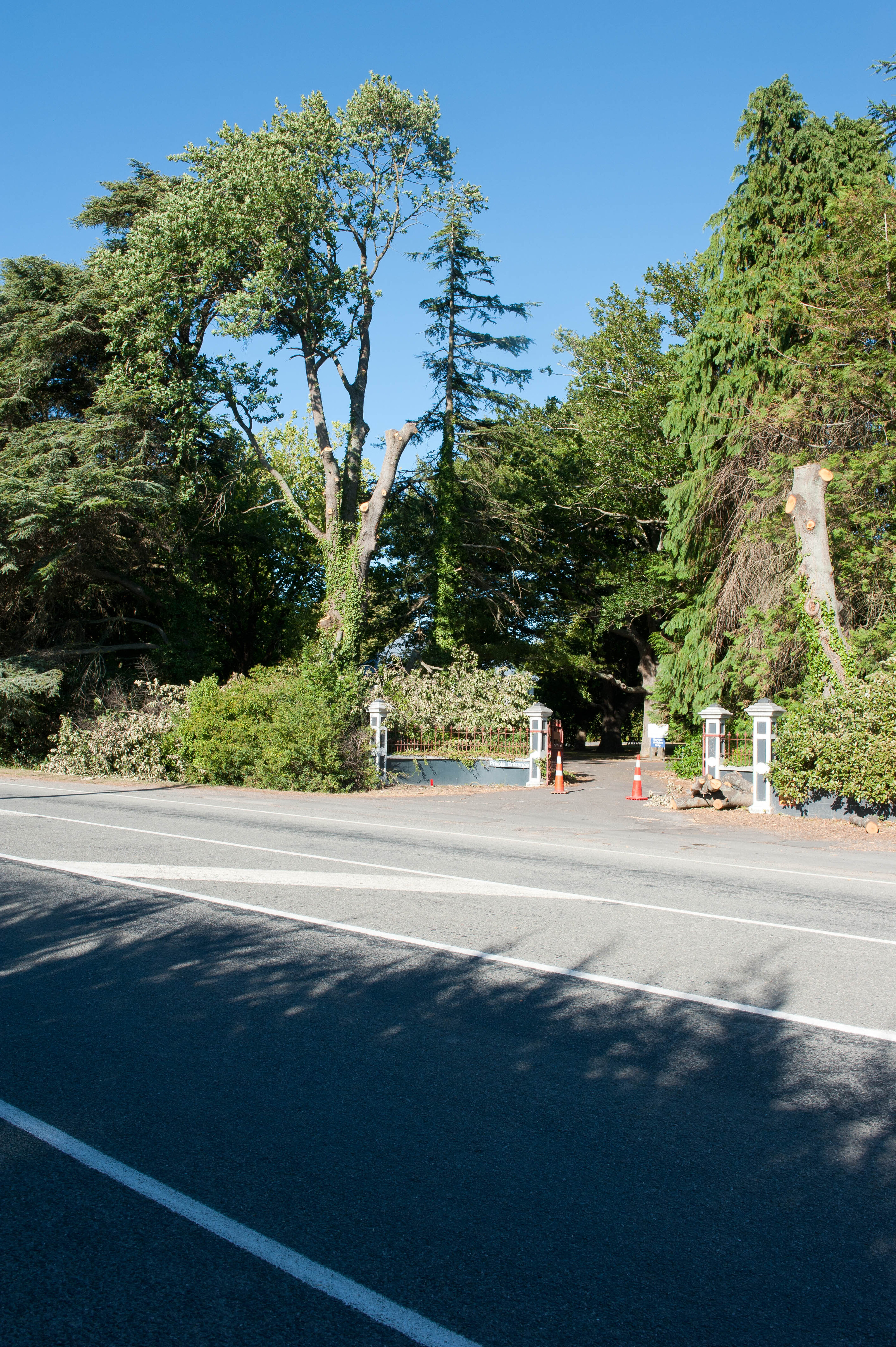 Hilgendorf Redevelopment 32