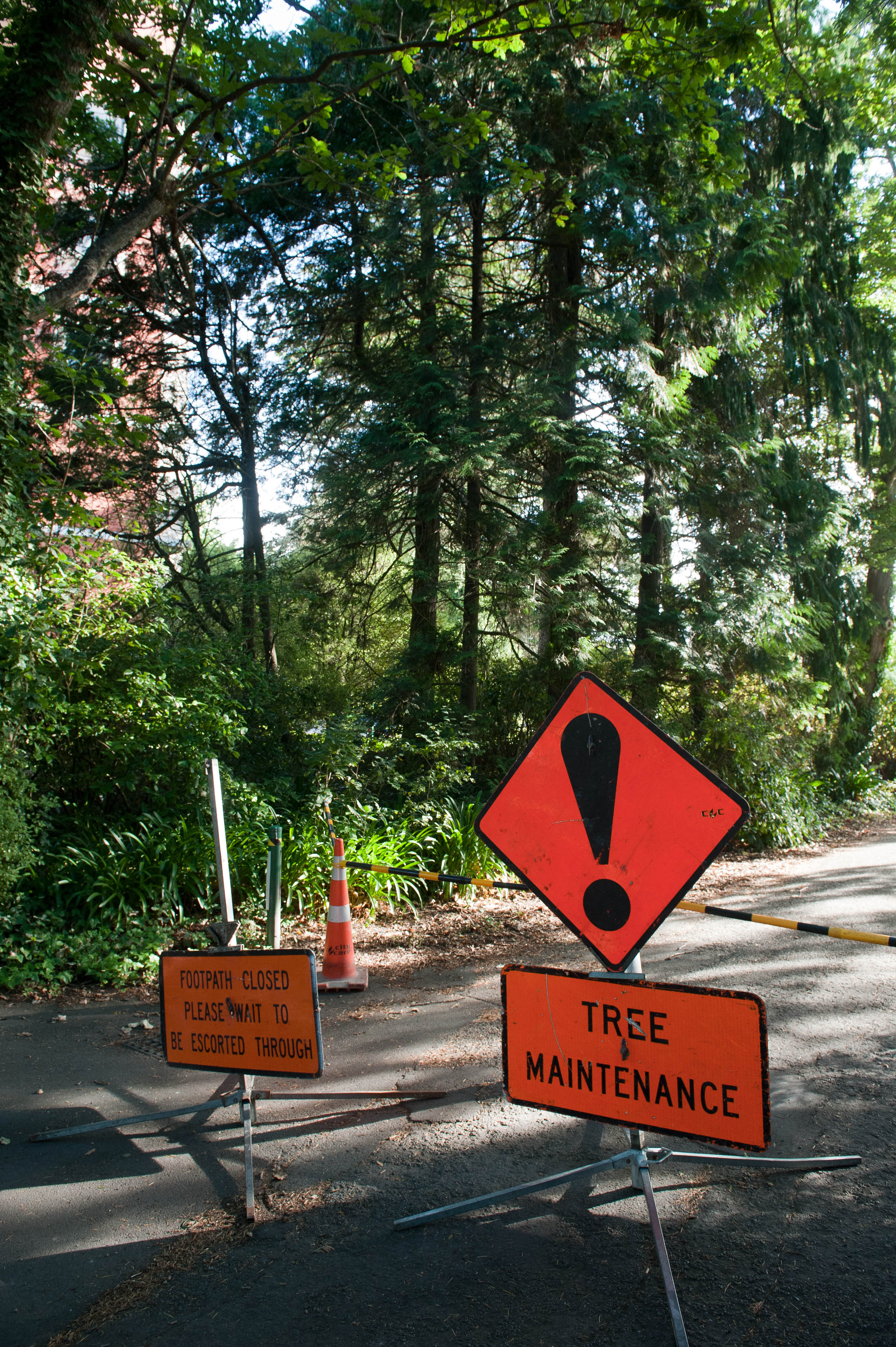 Hilgendorf Redevelopment 36