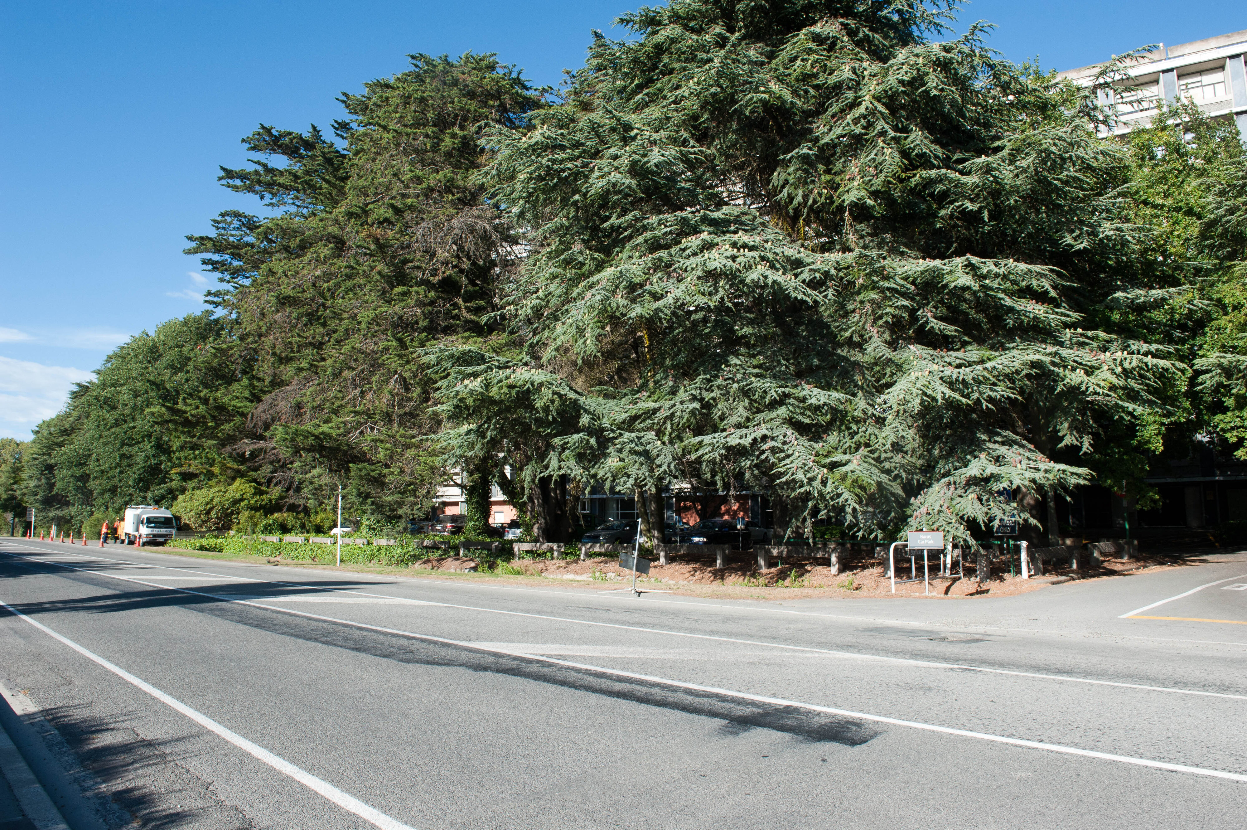 Hilgendorf Redevelopment 39