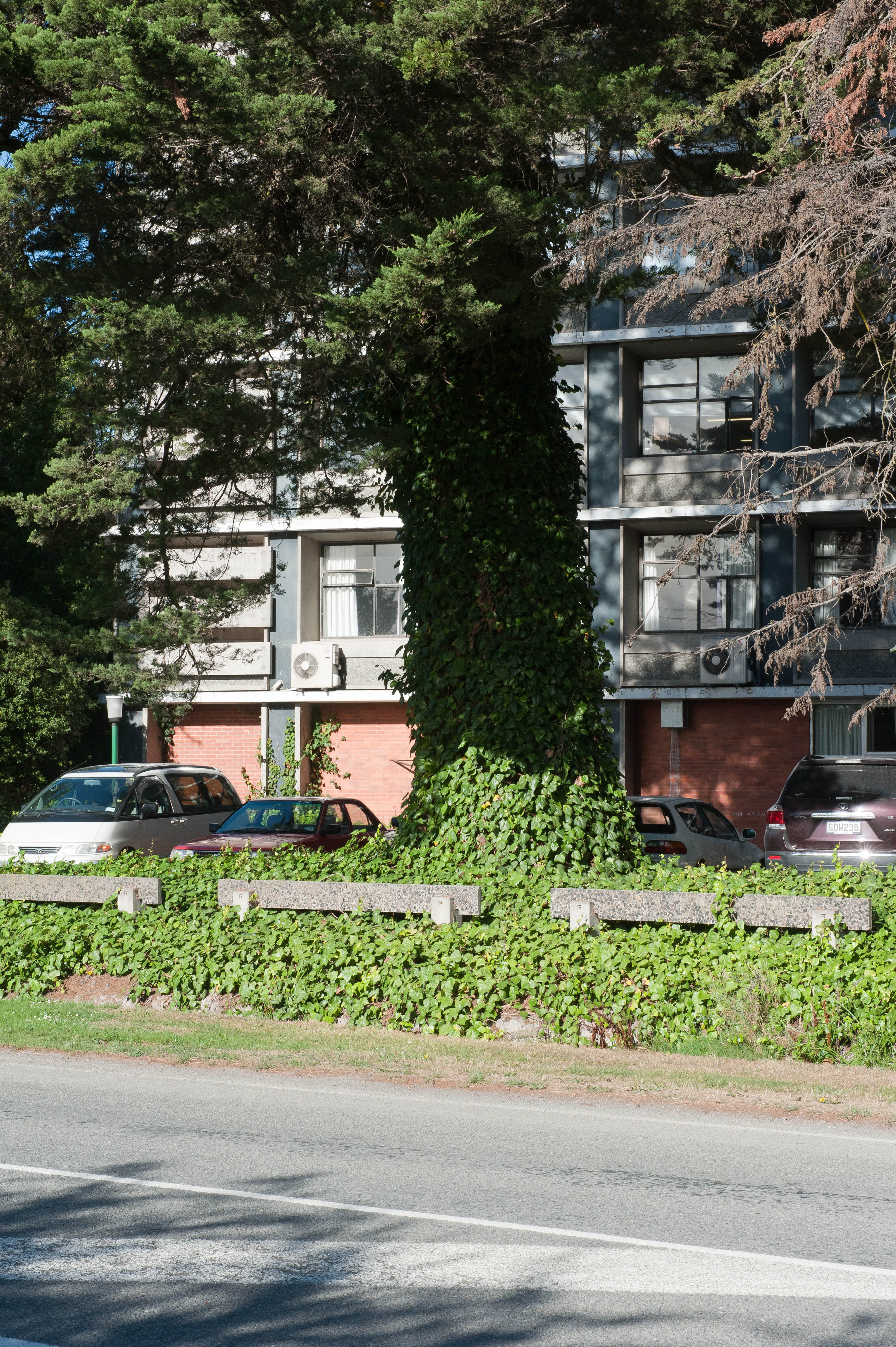 Hilgendorf Redevelopment 40