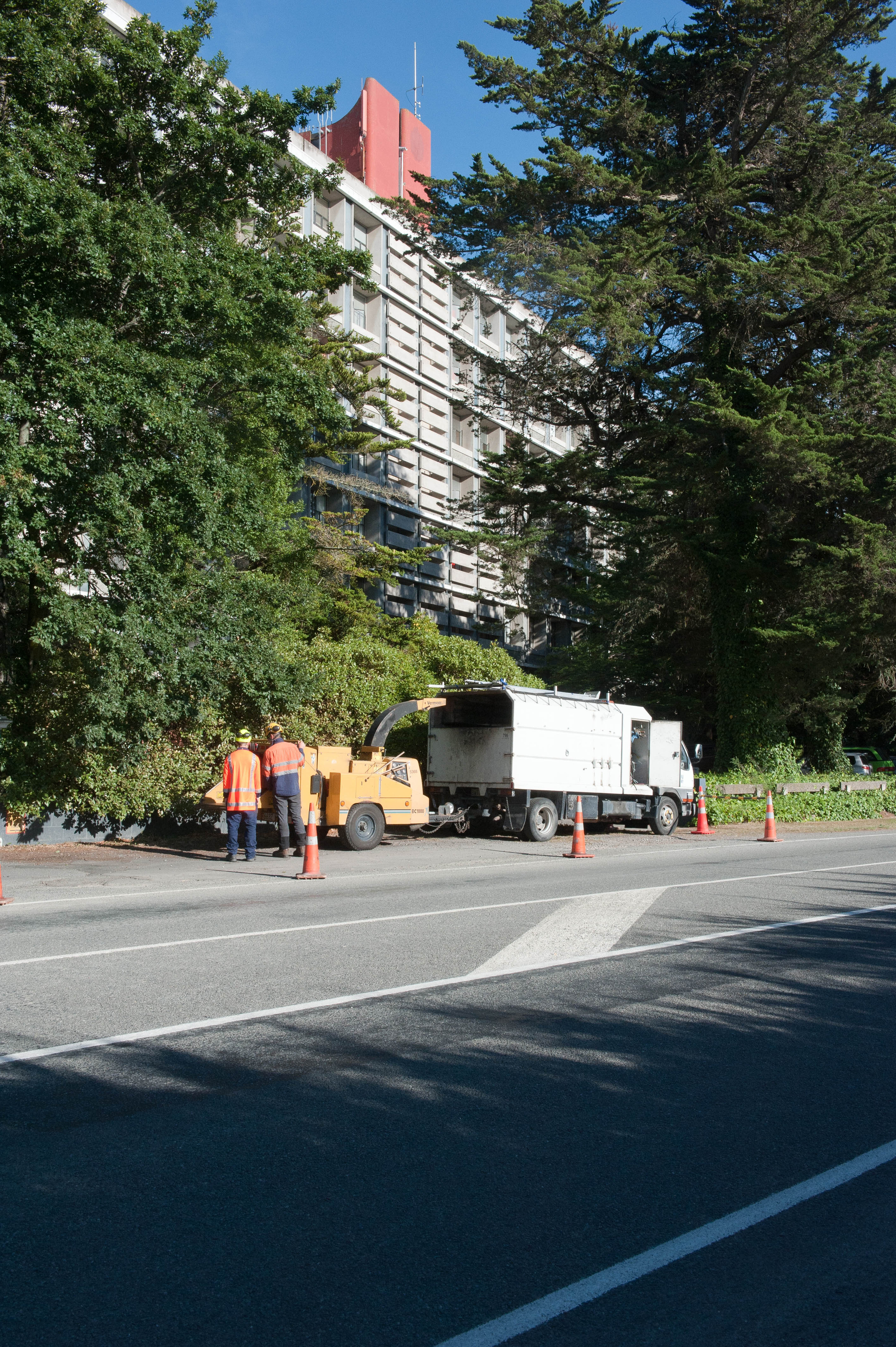 Hilgendorf Redevelopment 43