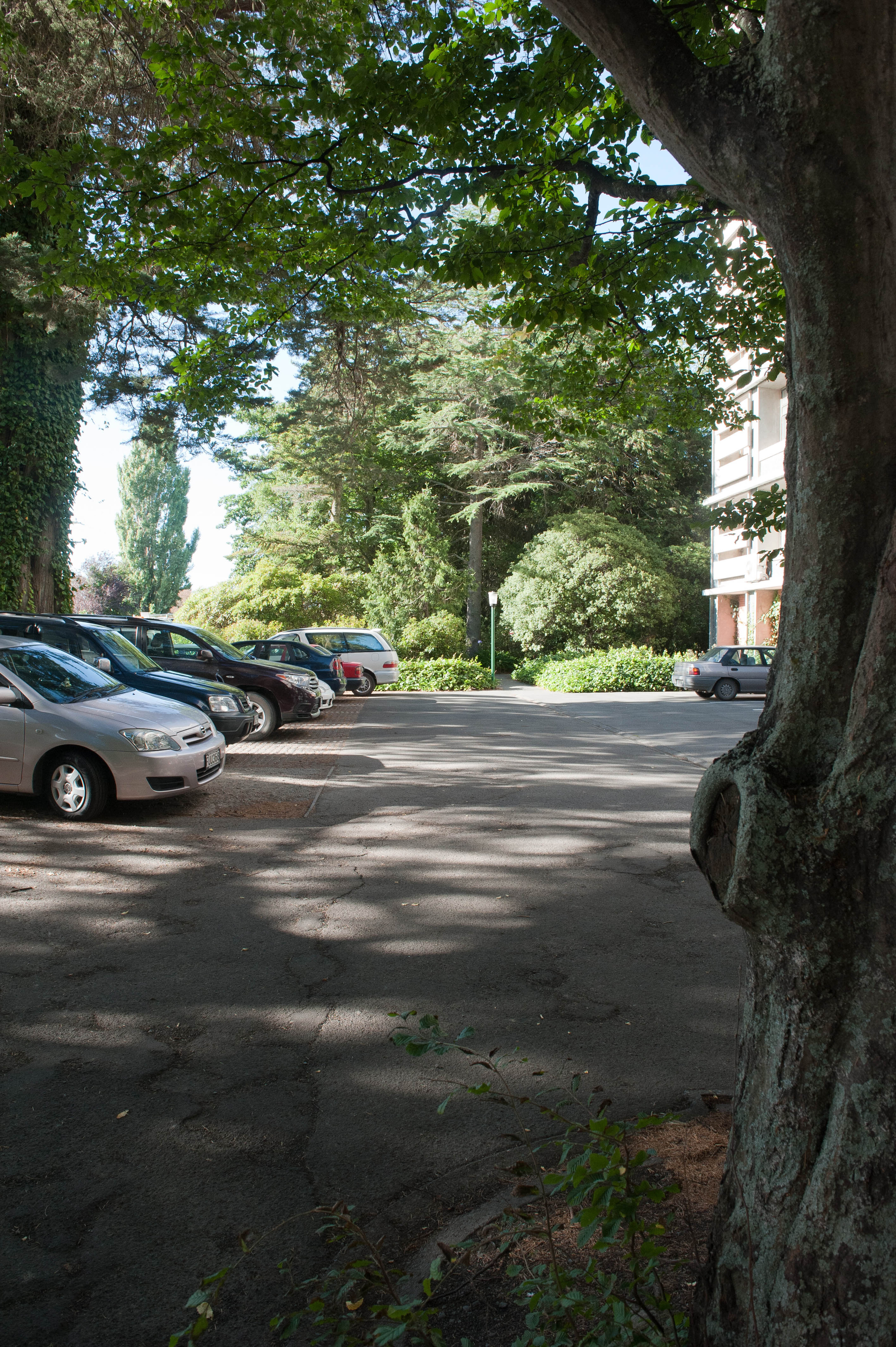 Hilgendorf Redevelopment 45