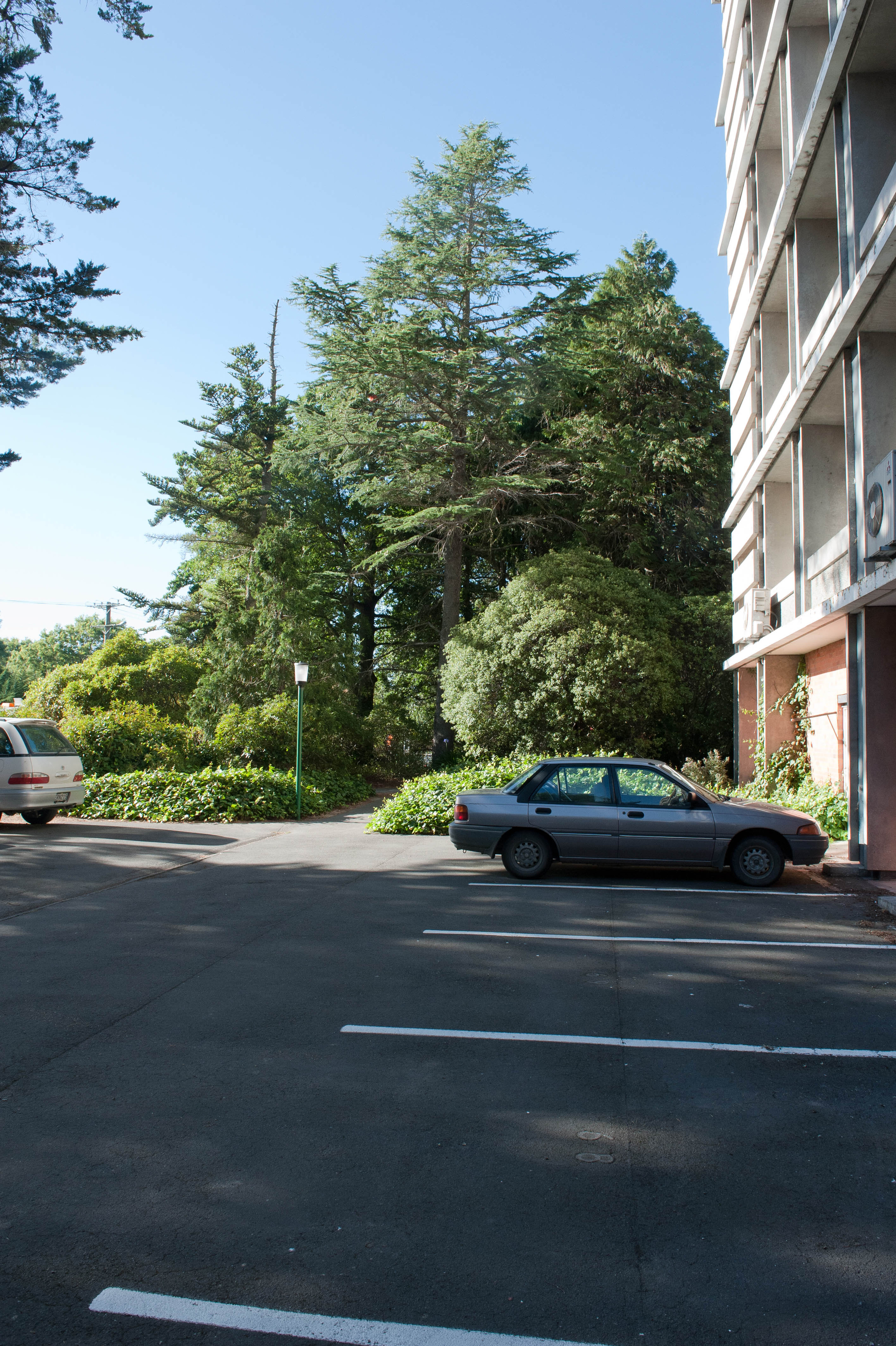 Hilgendorf Redevelopment 46