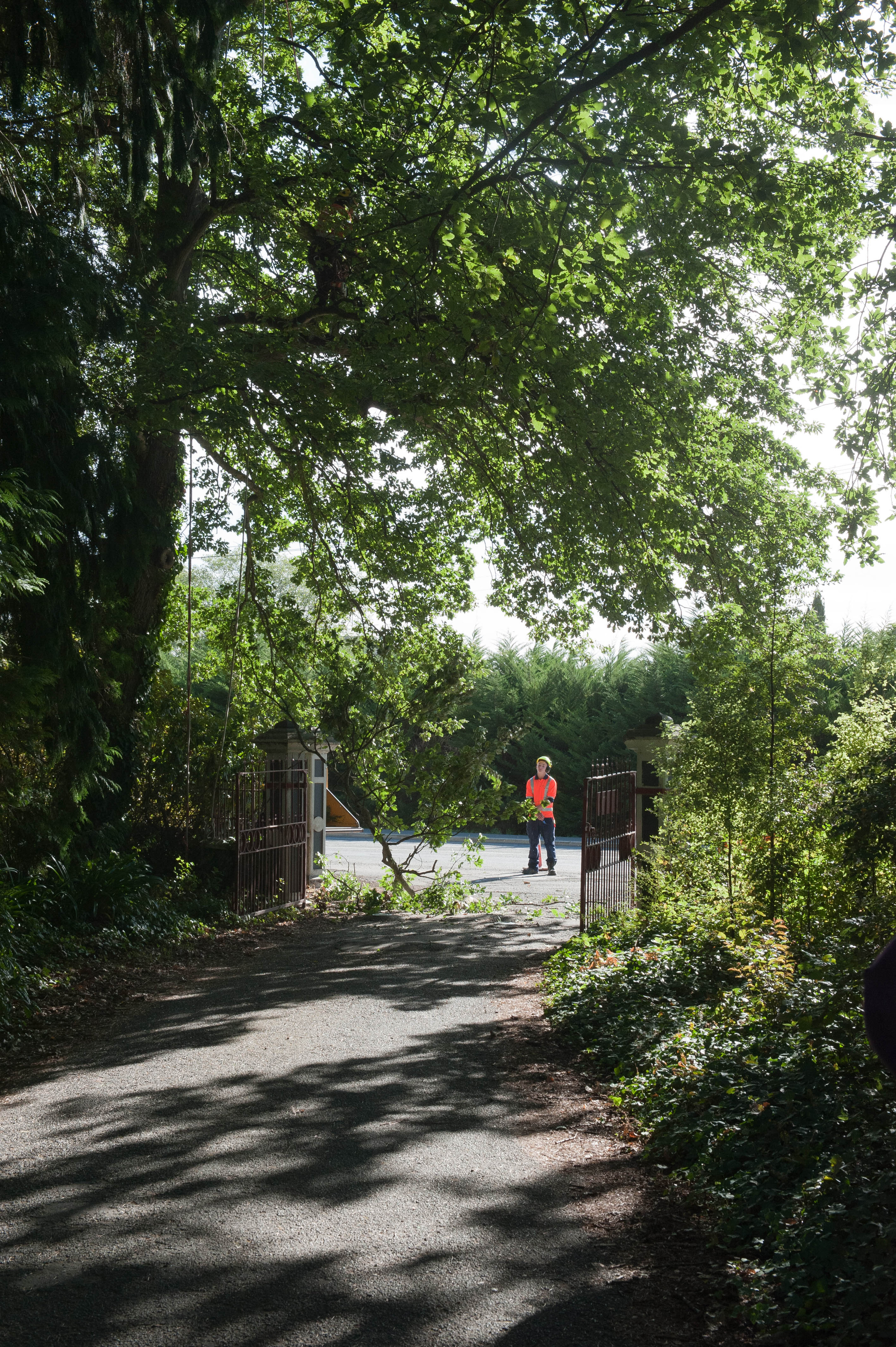 Hilgendorf Redevelopment 53