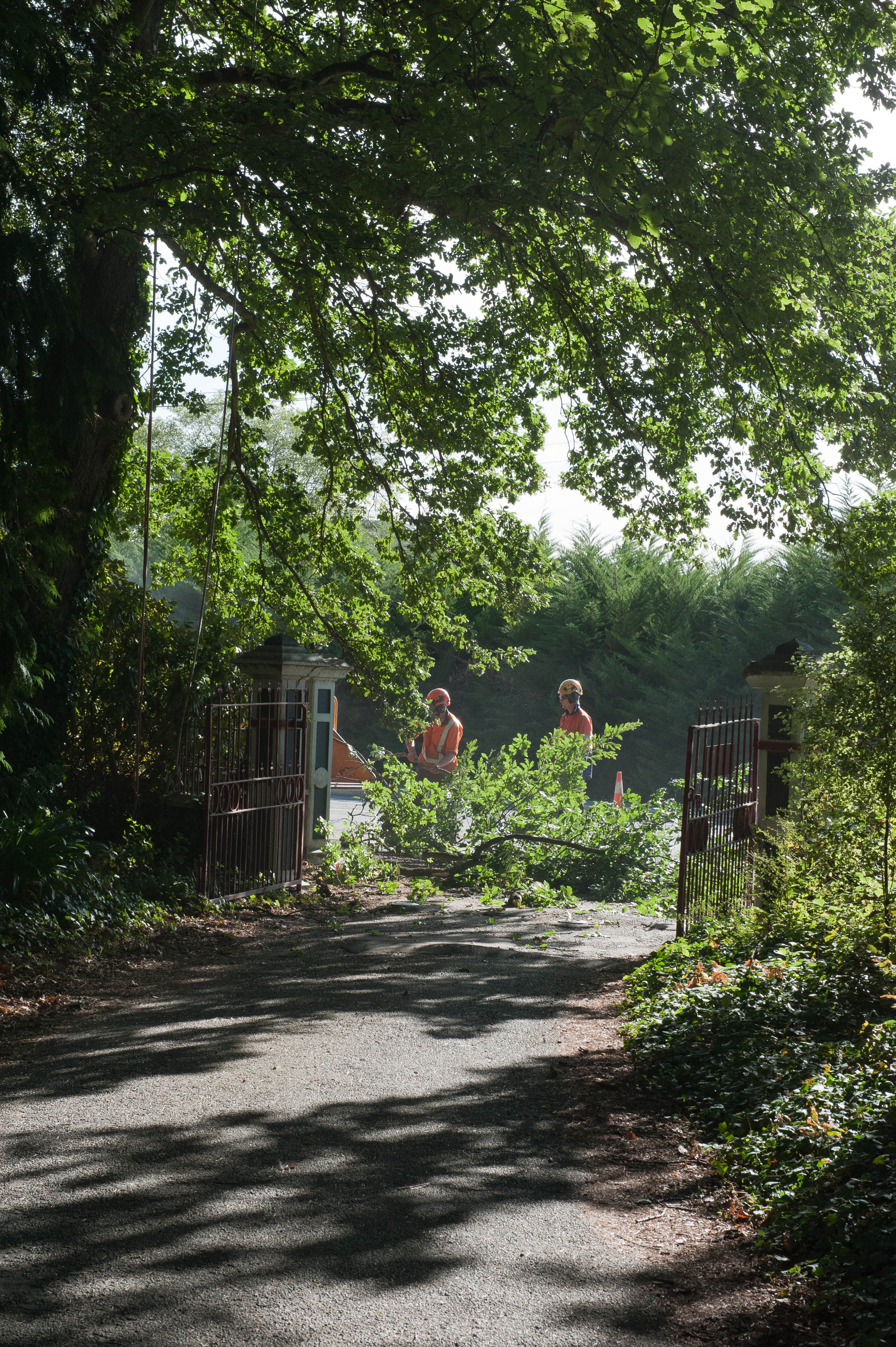 Hilgendorf Redevelopment 54