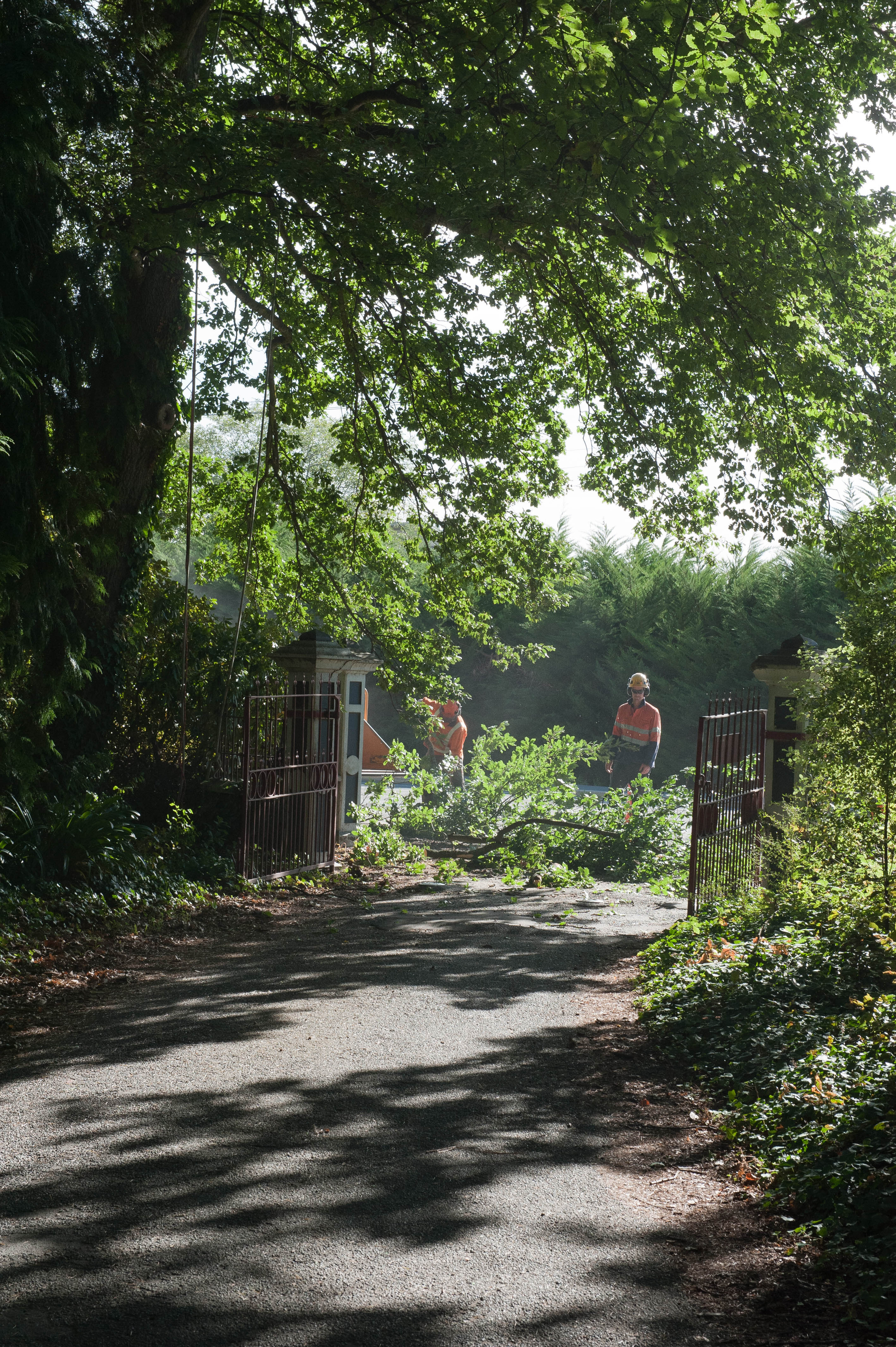 Hilgendorf Redevelopment 55