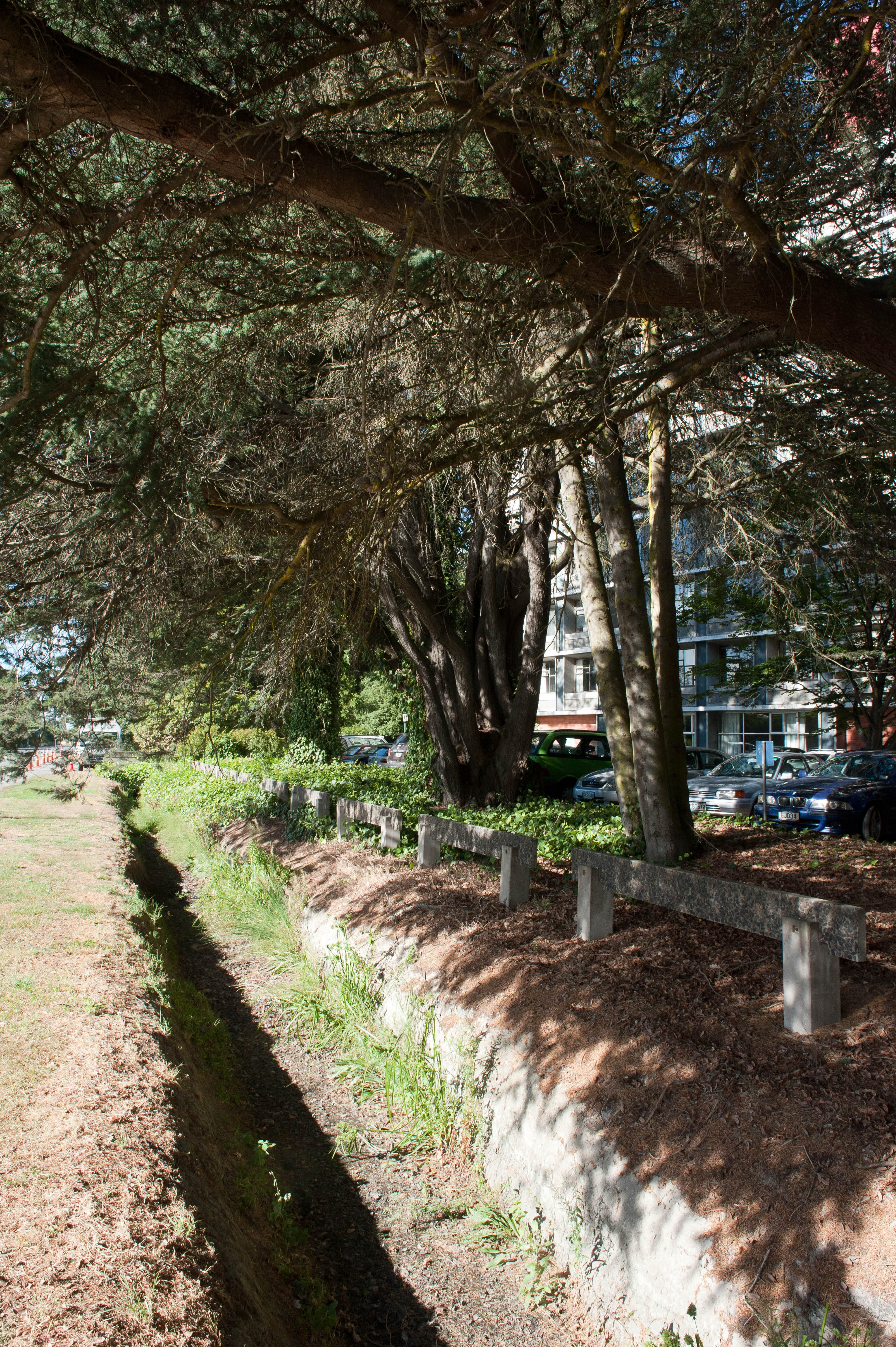 Hilgendorf Redevelopment 61