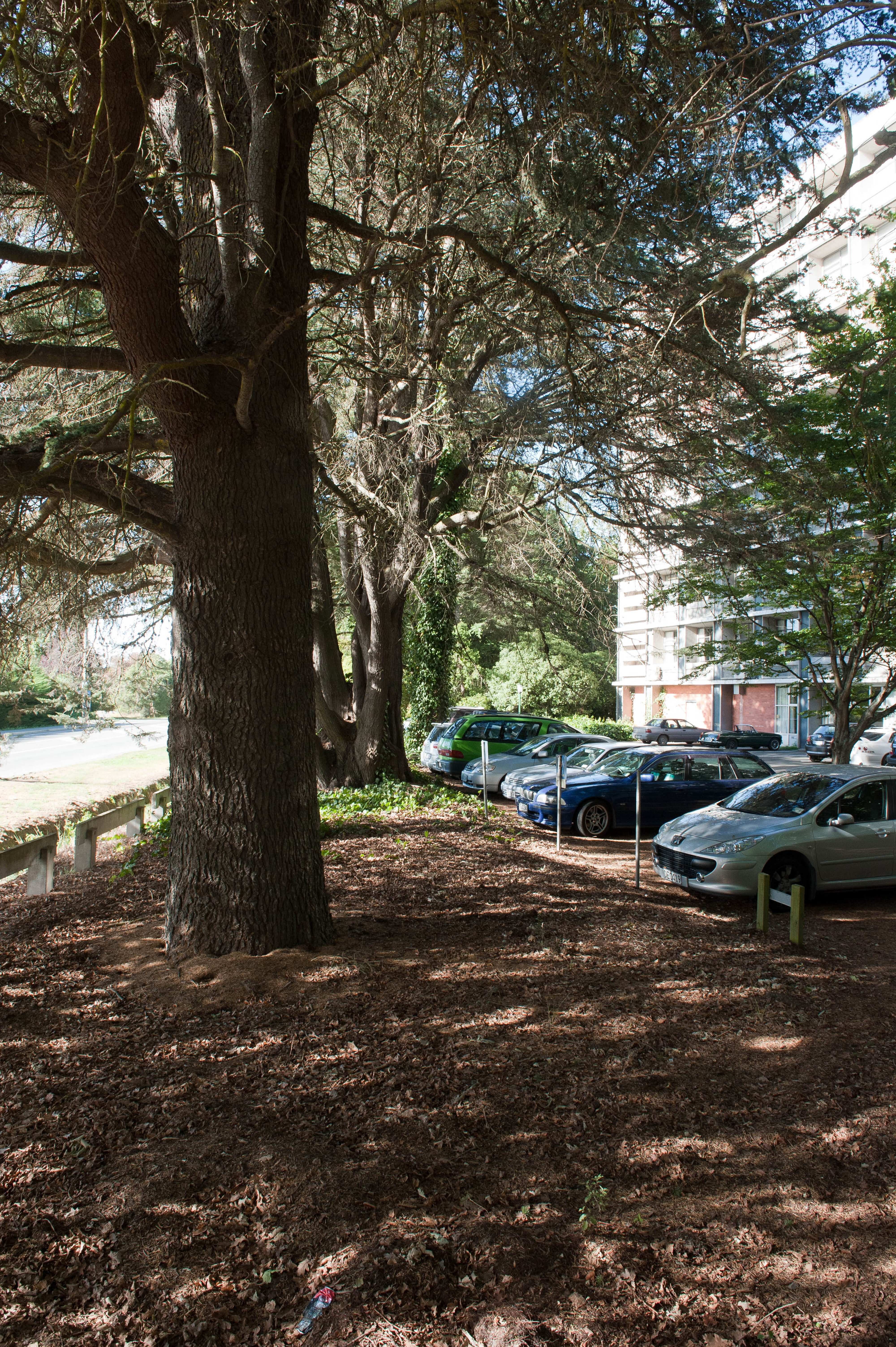 Hilgendorf Redevelopment 63