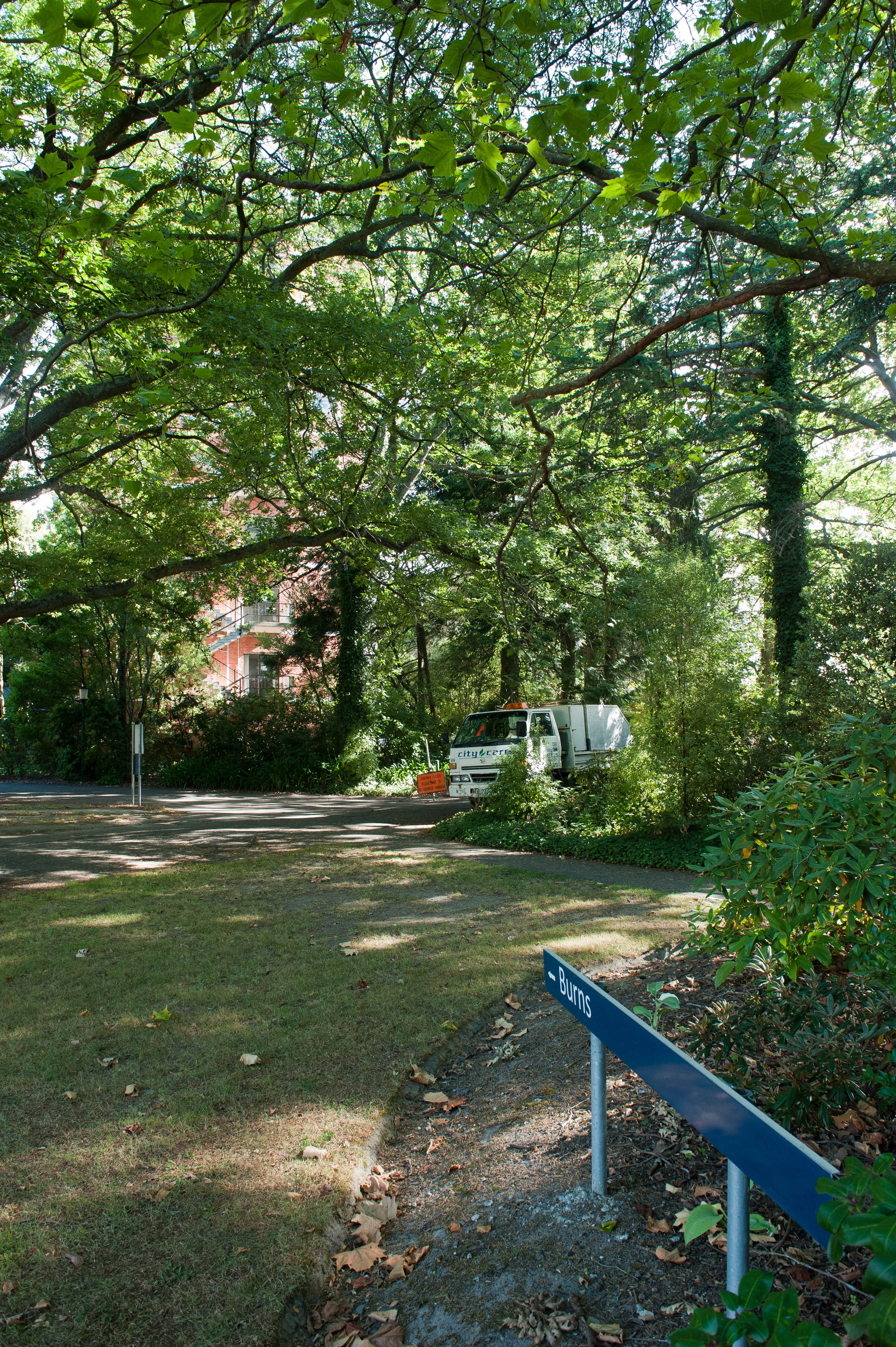 Hilgendorf Redevelopment 69