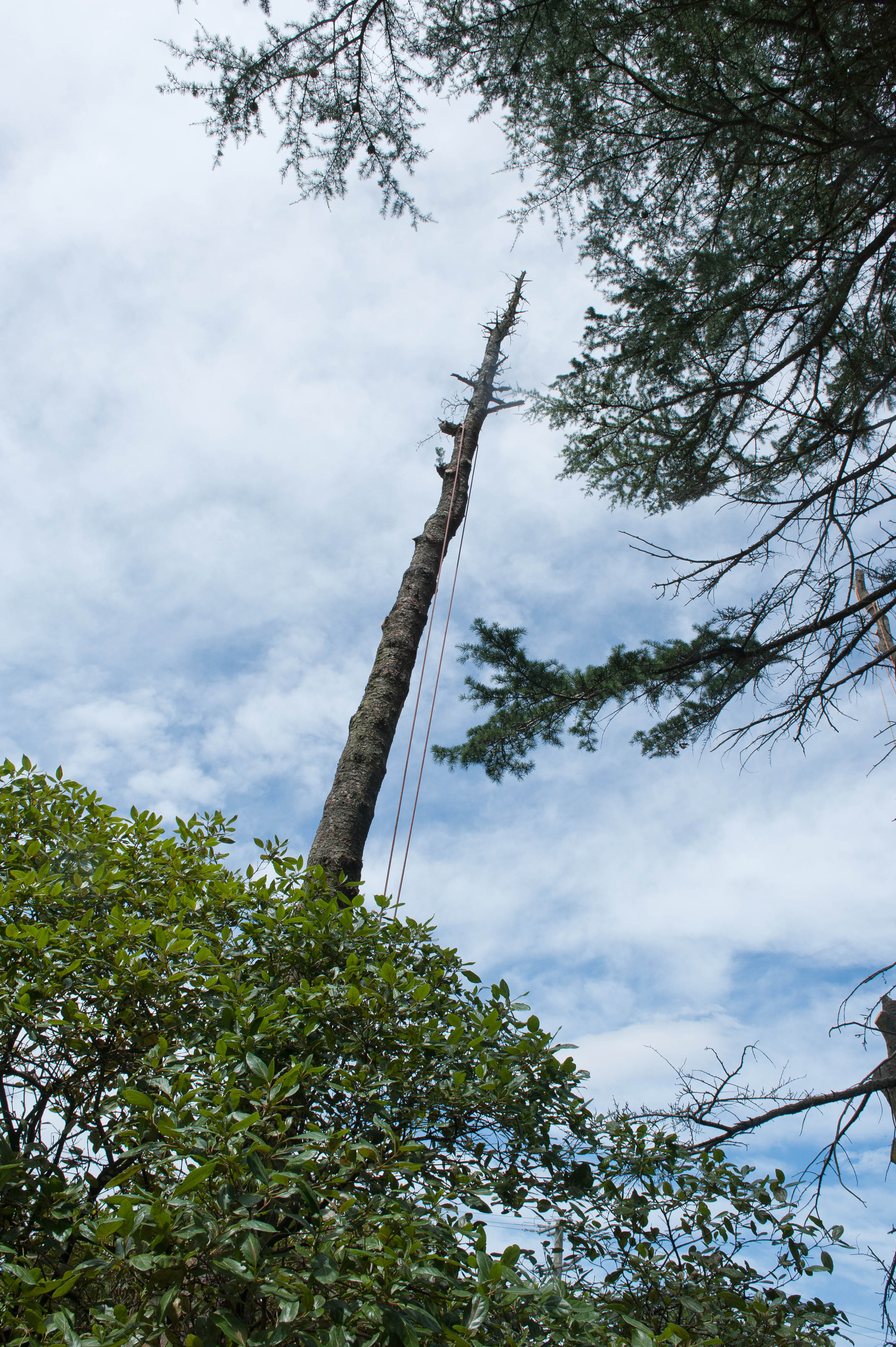 Hilgendorf Redevelopment 70