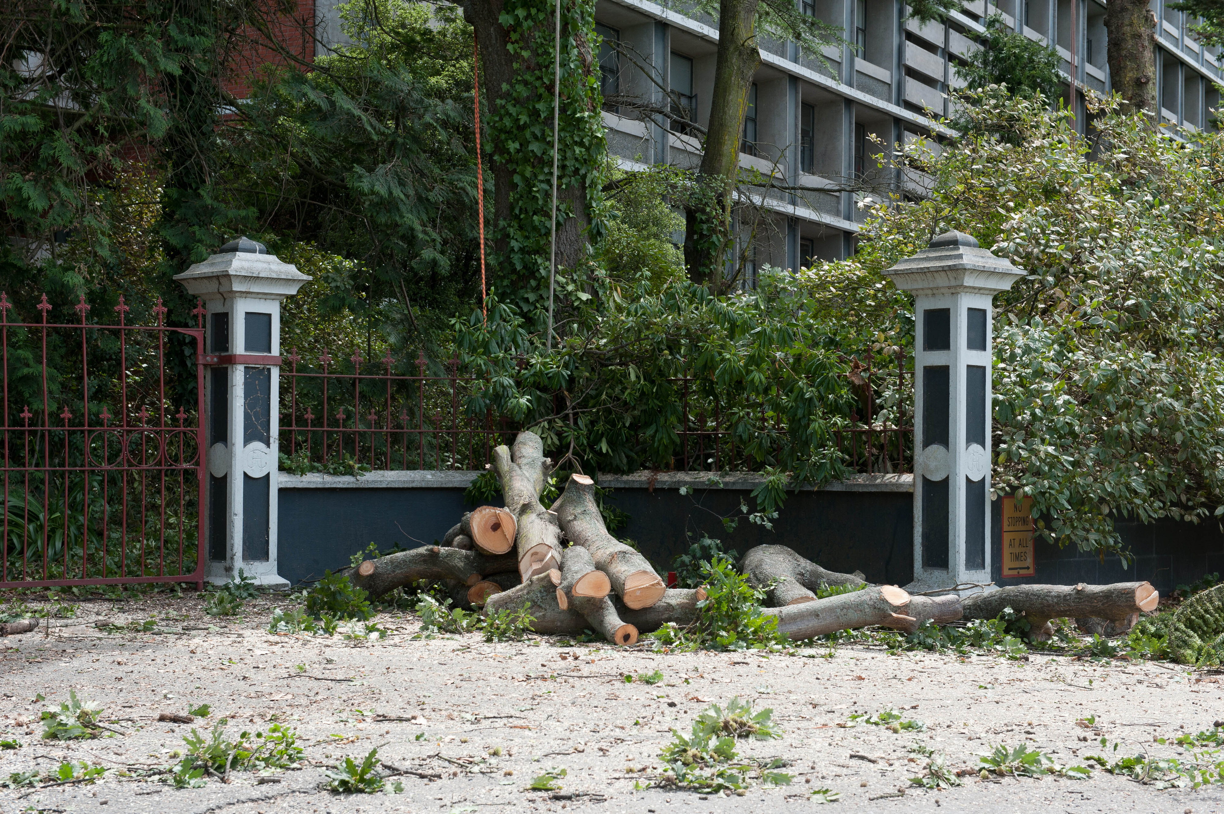 Hilgendorf Redevelopment 76