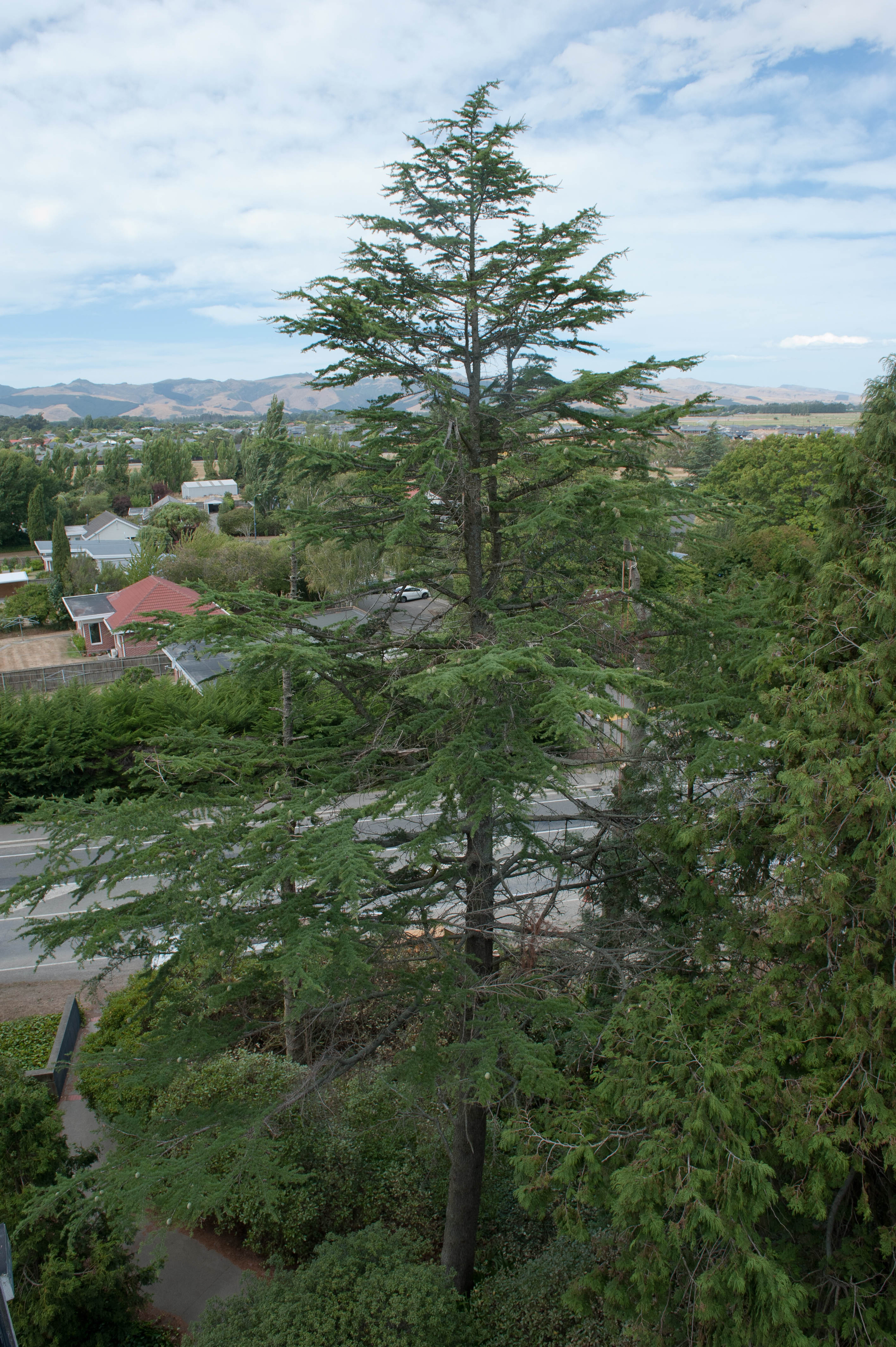 Hilgendorf Redevelopment 77