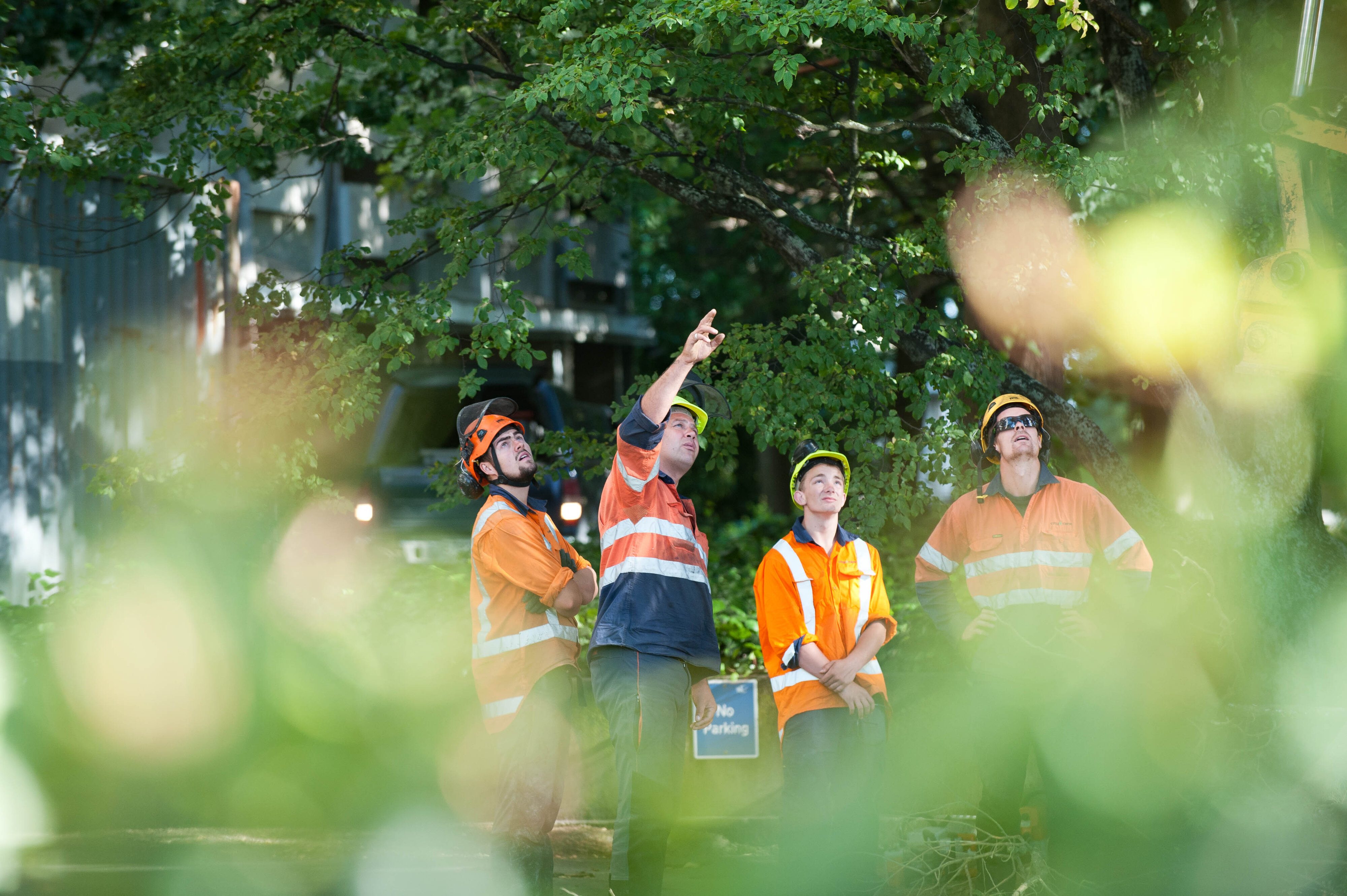 Hilgendorf Redevelopment 82