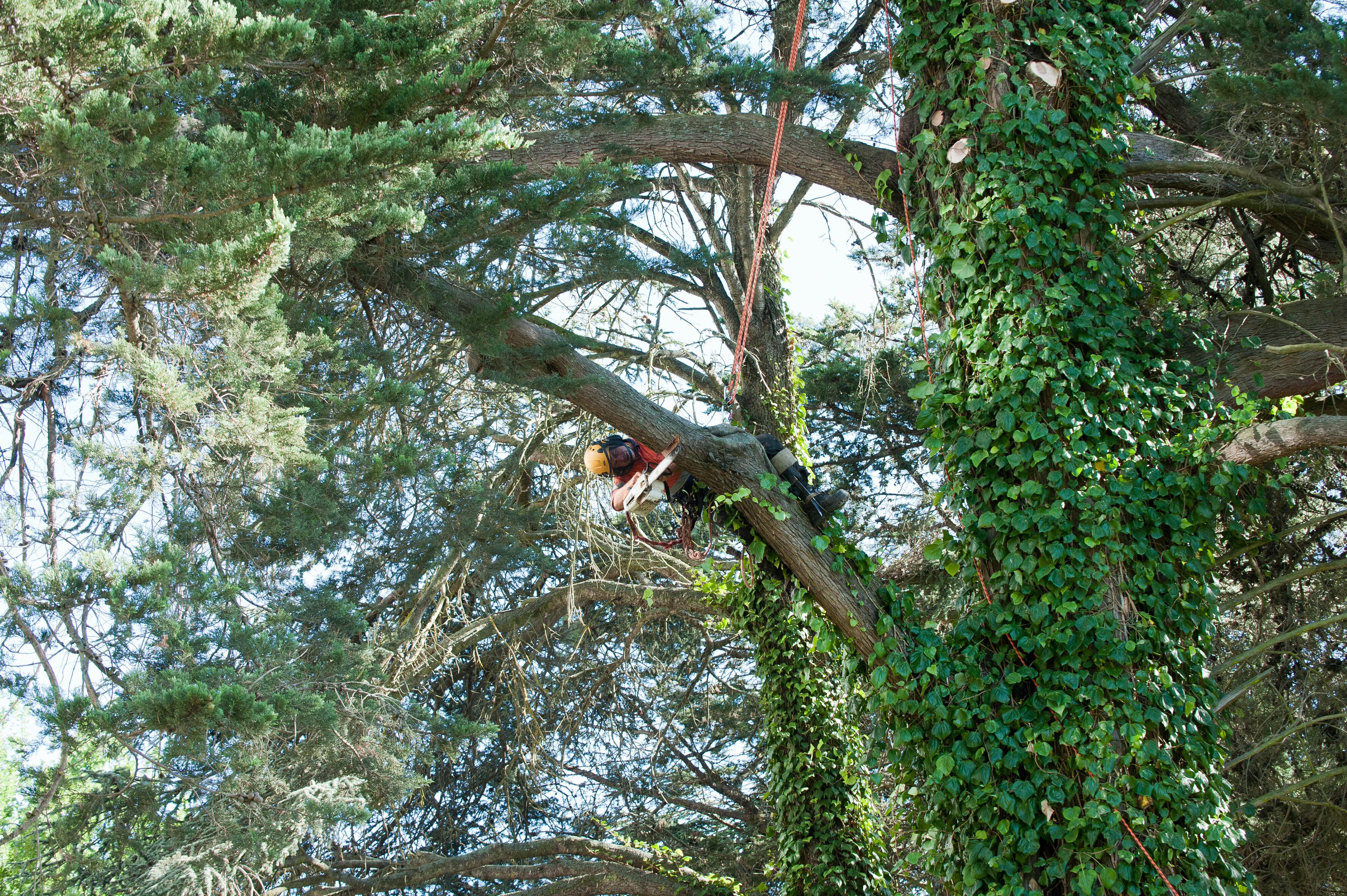 Hilgendorf Redevelopment 86