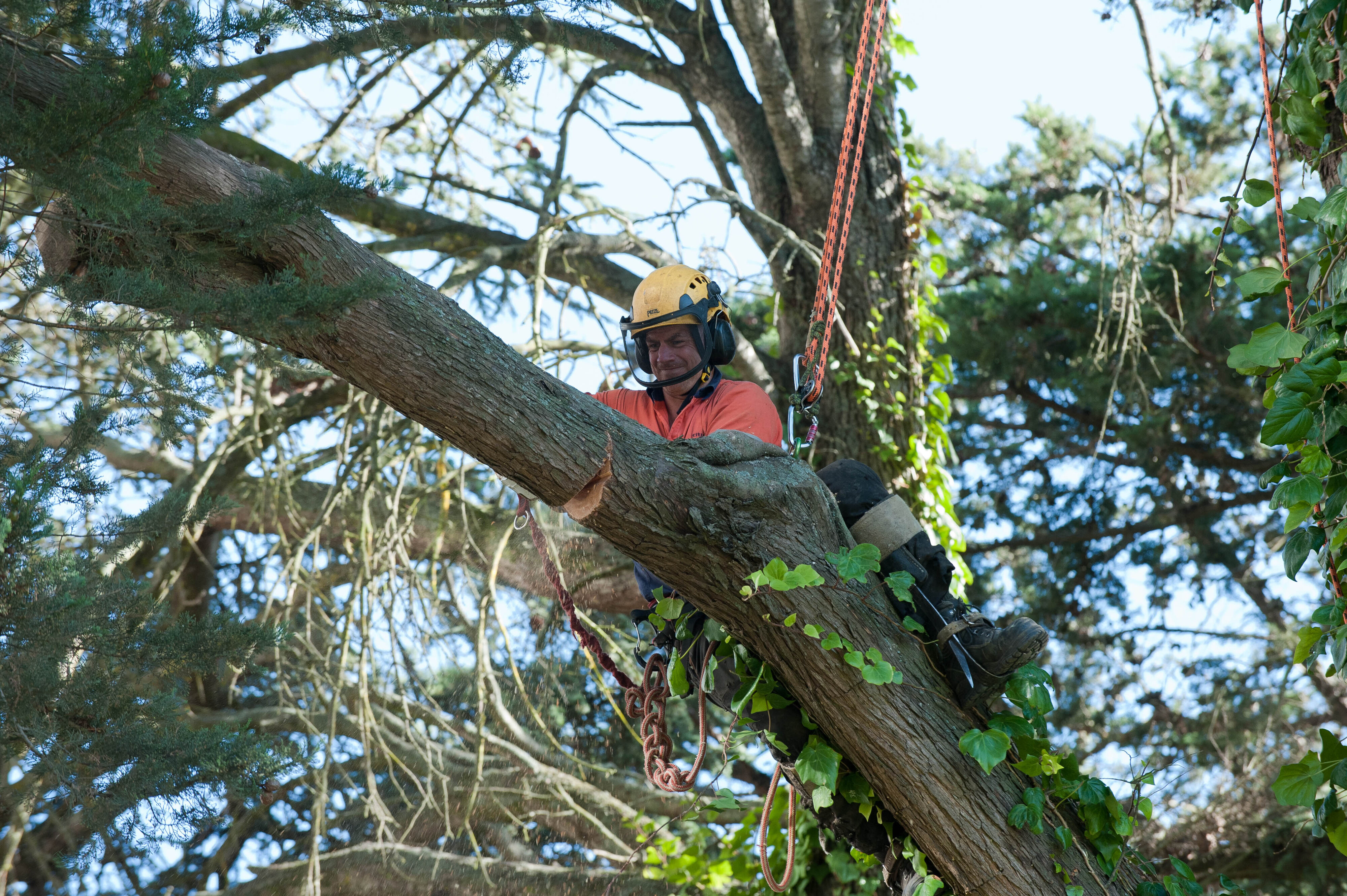 Hilgendorf Redevelopment 87