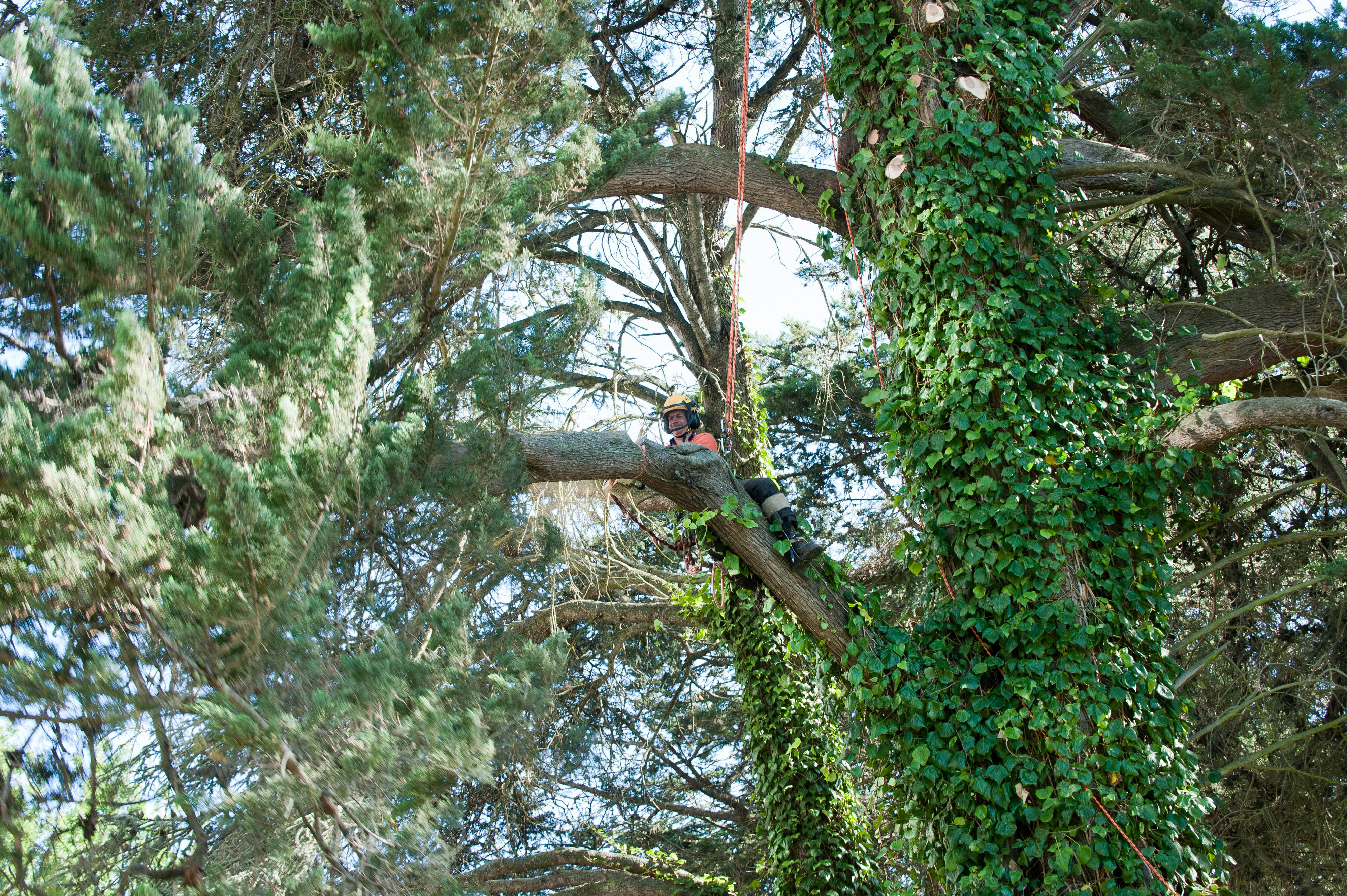 Hilgendorf Redevelopment 89