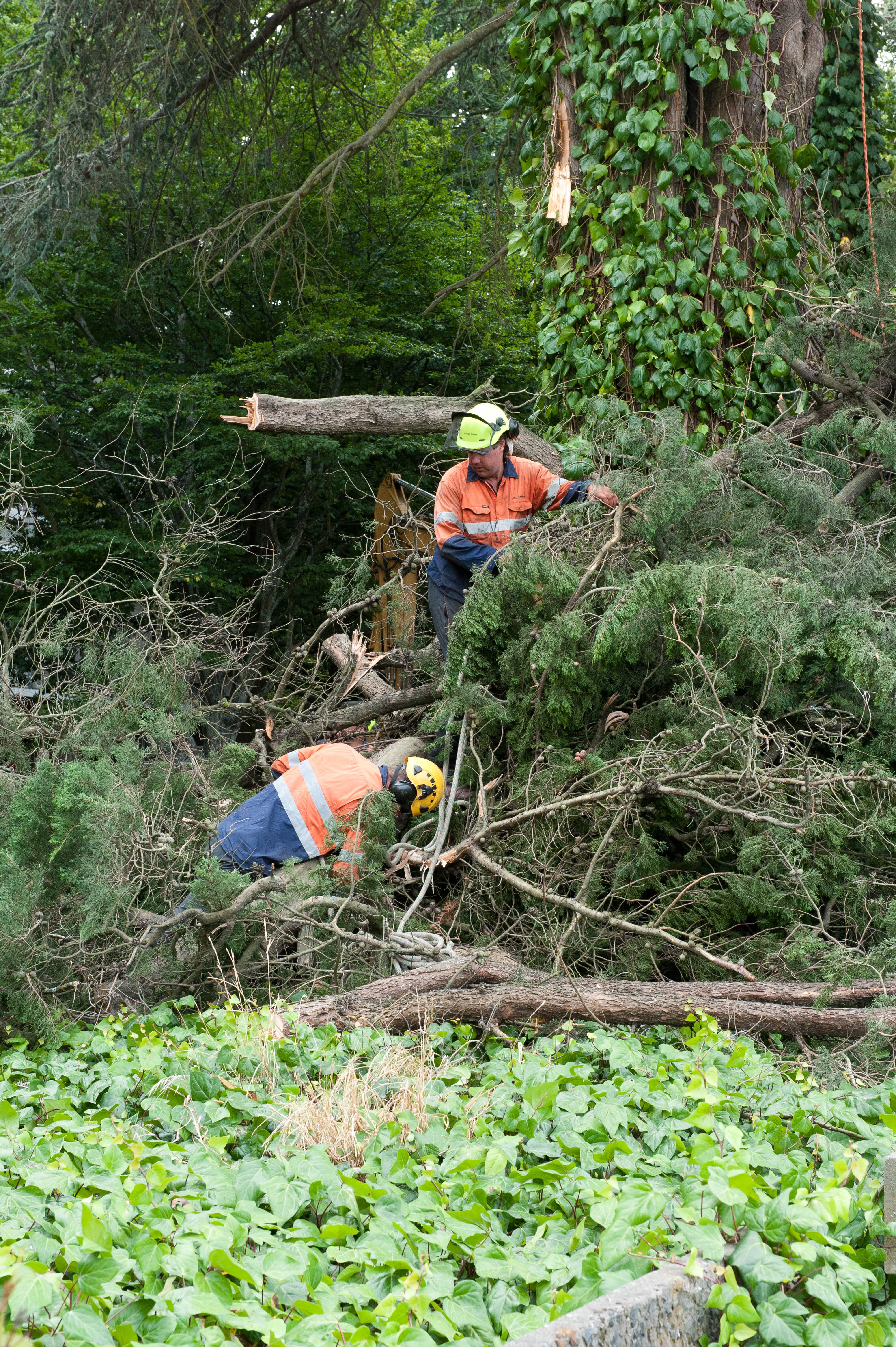 Hilgendorf Redevelopment 111
