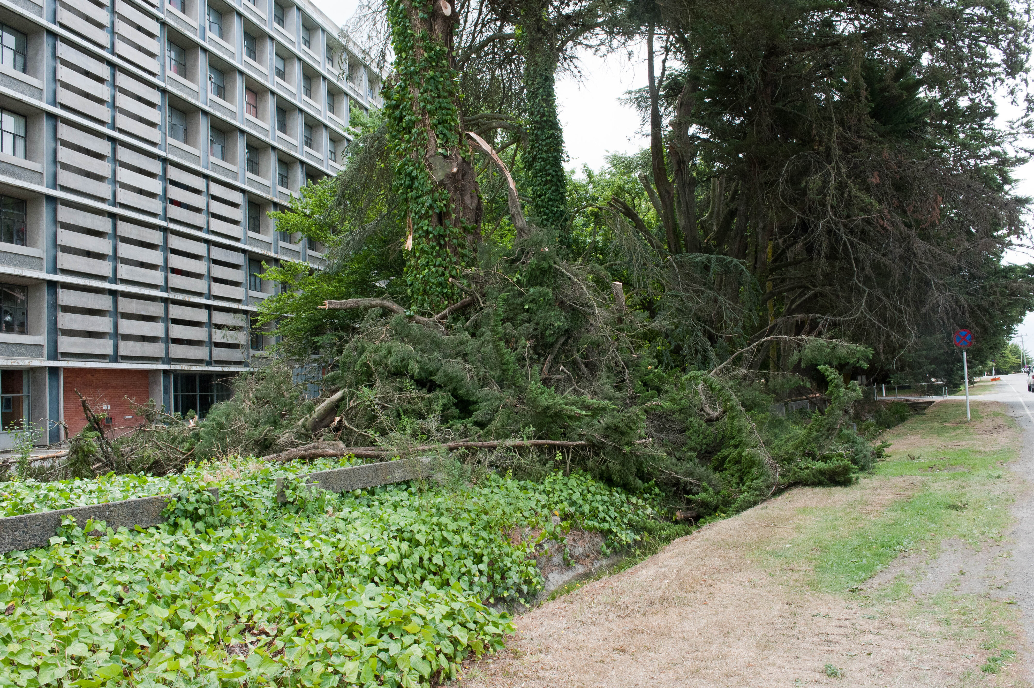 Hilgendorf Redevelopment 112