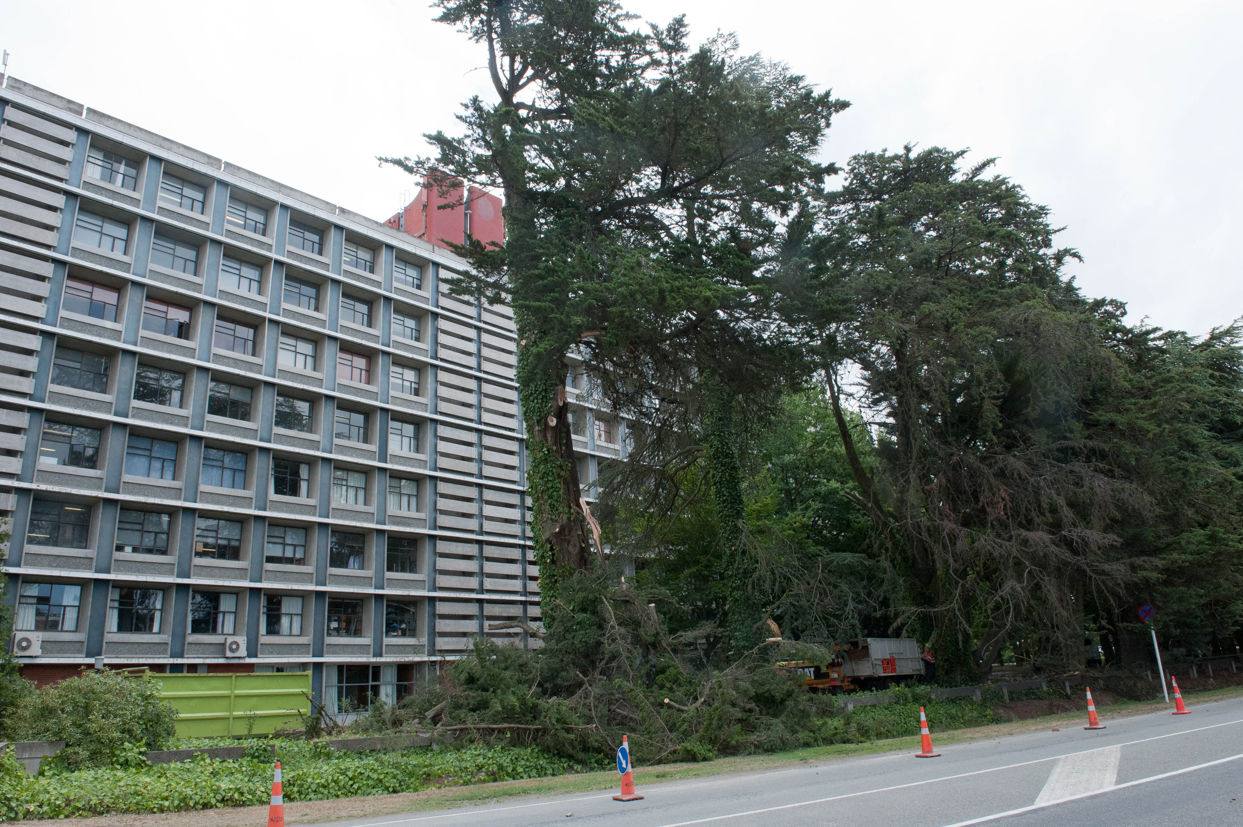 Hilgendorf Redevelopment 114