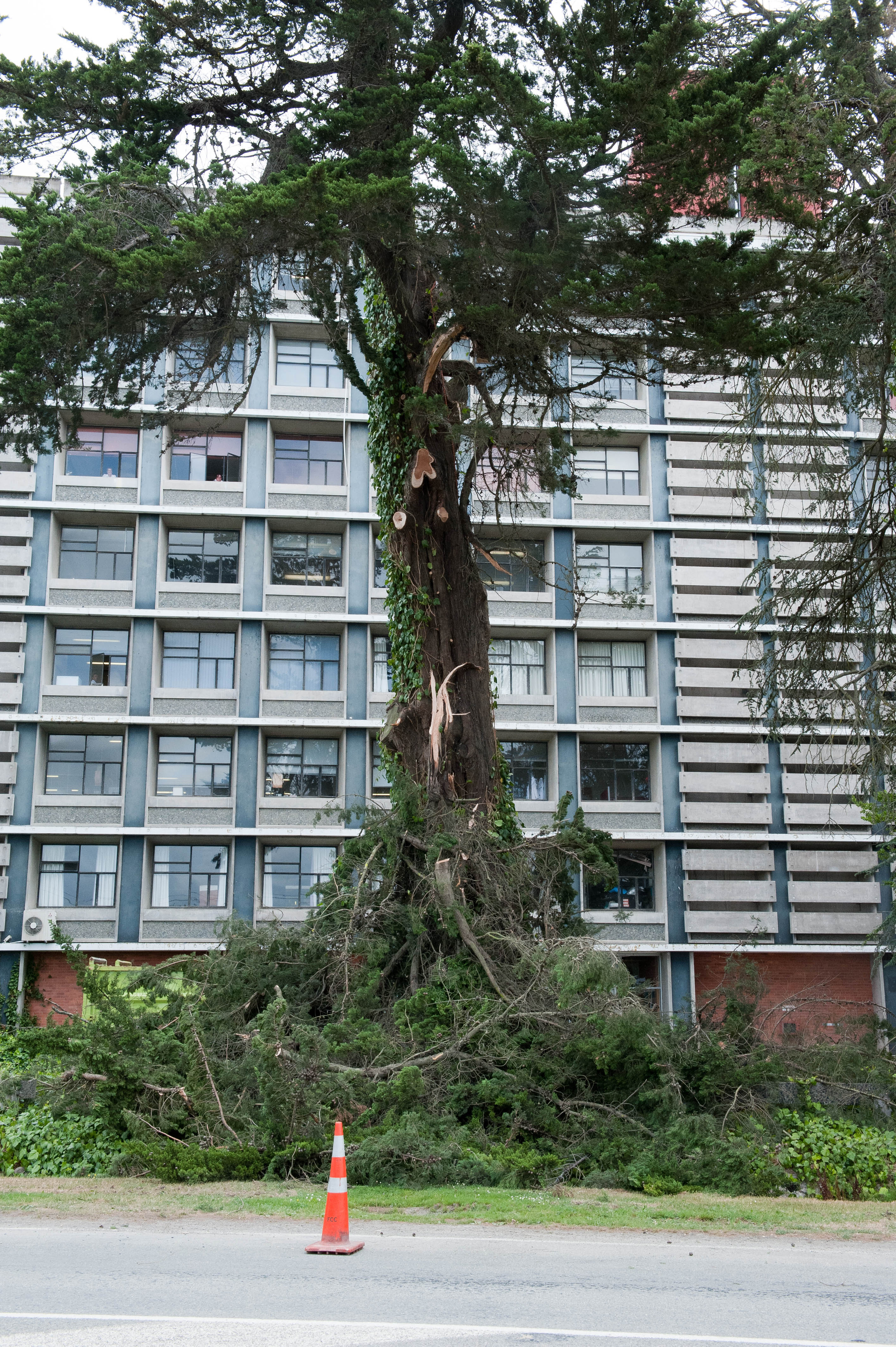 Hilgendorf Redevelopment 115