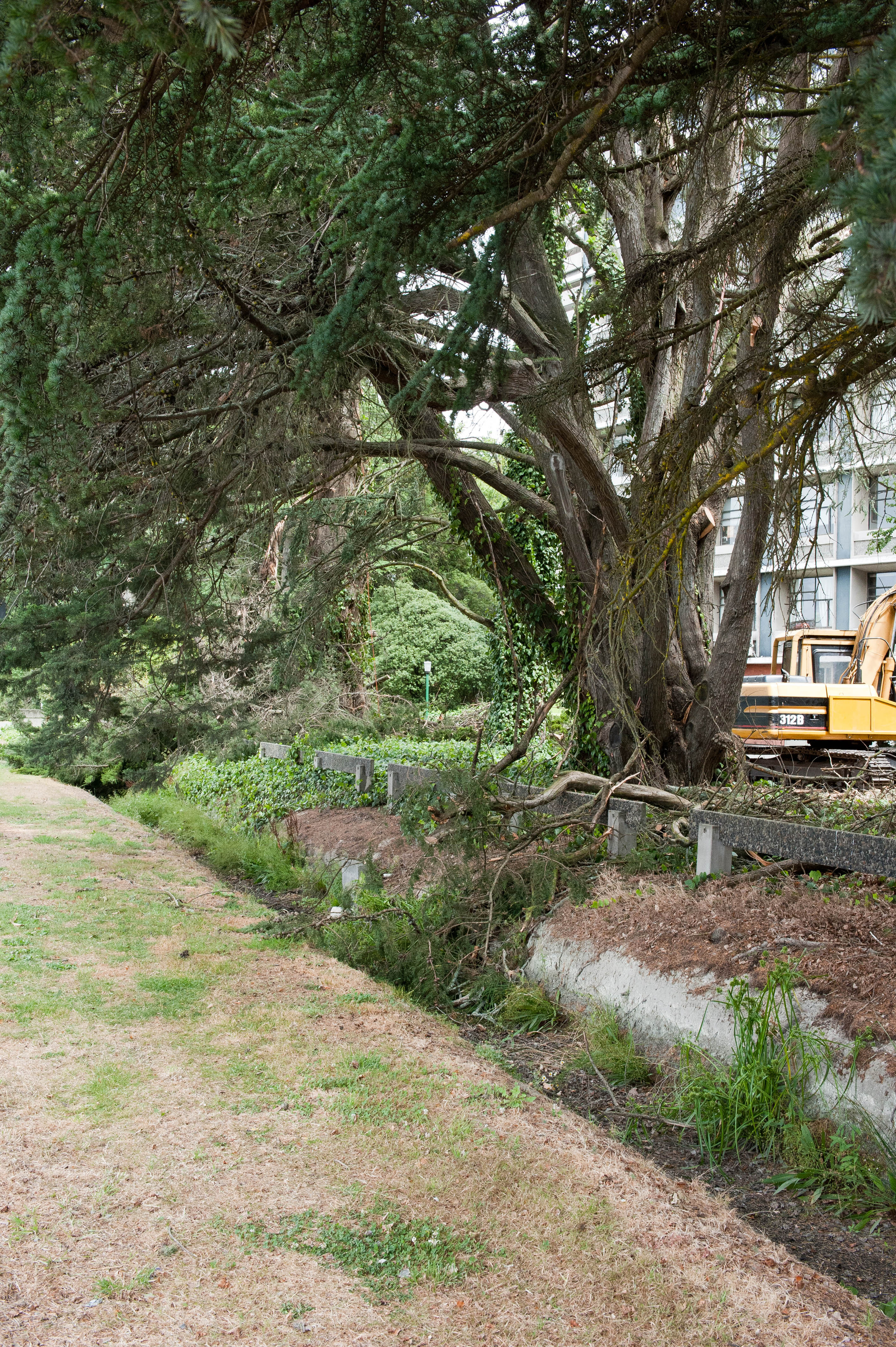 Hilgendorf Redevelopment 116