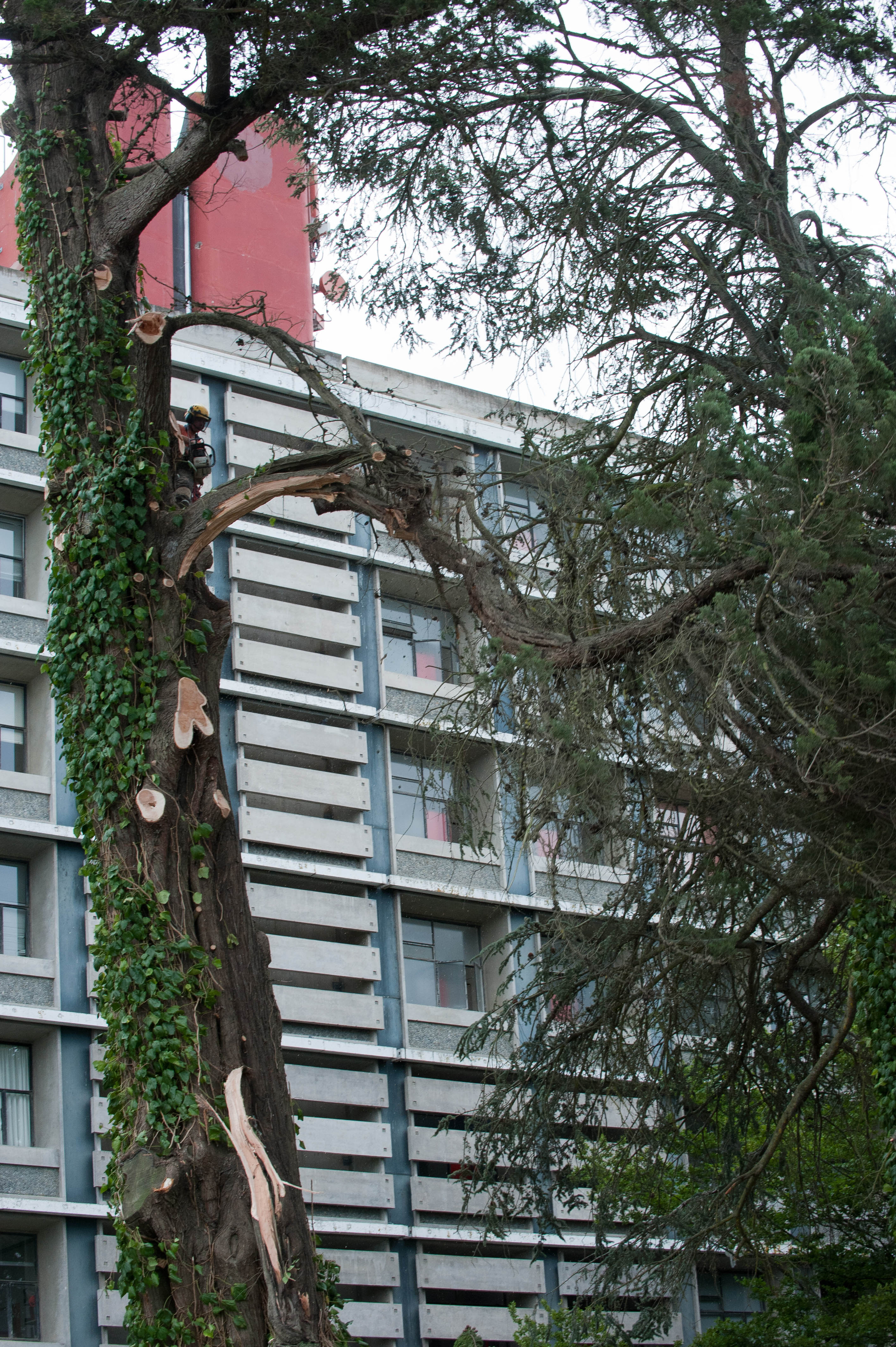 Hilgendorf Redevelopment 121