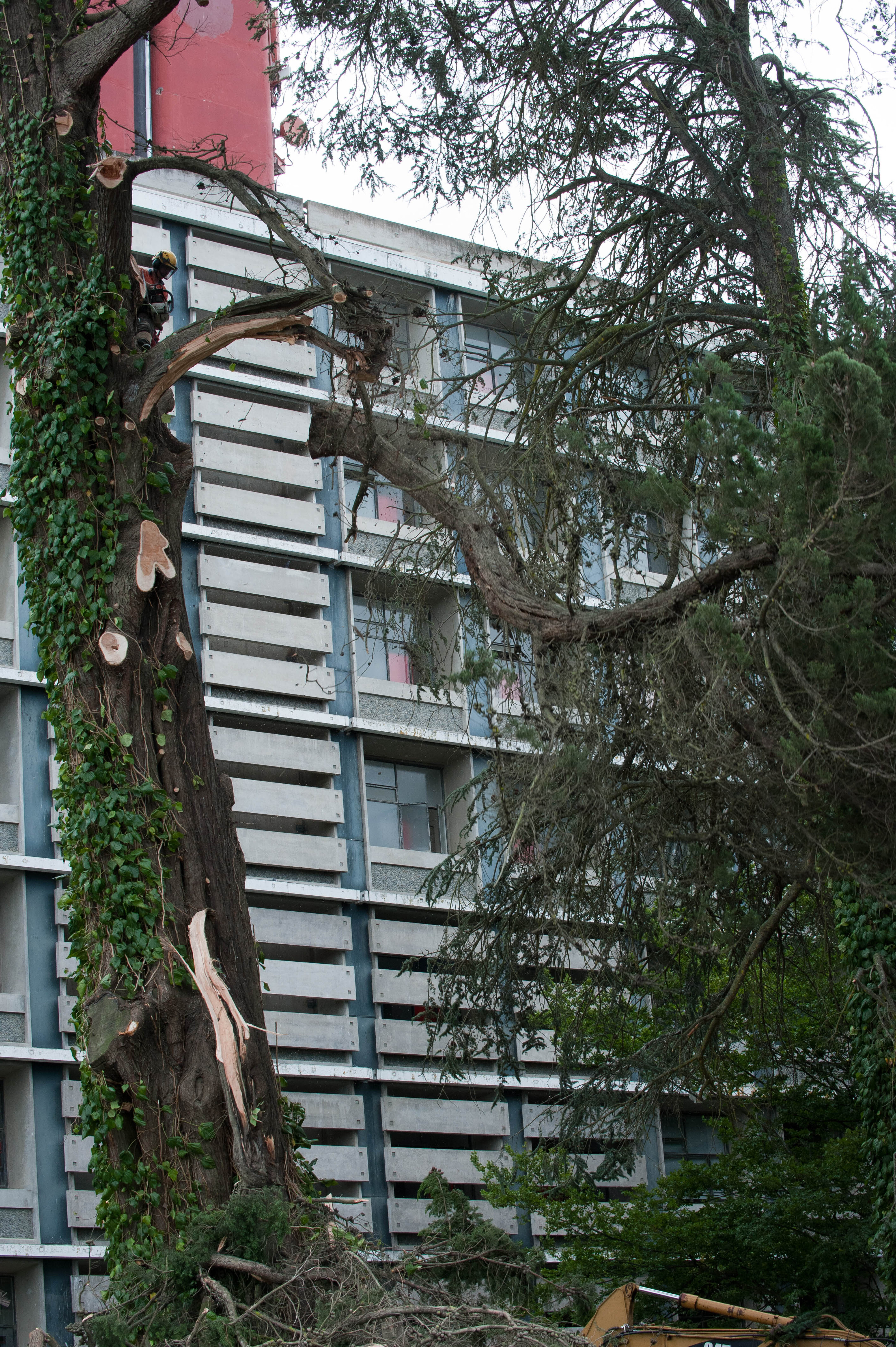 Hilgendorf Redevelopment 122