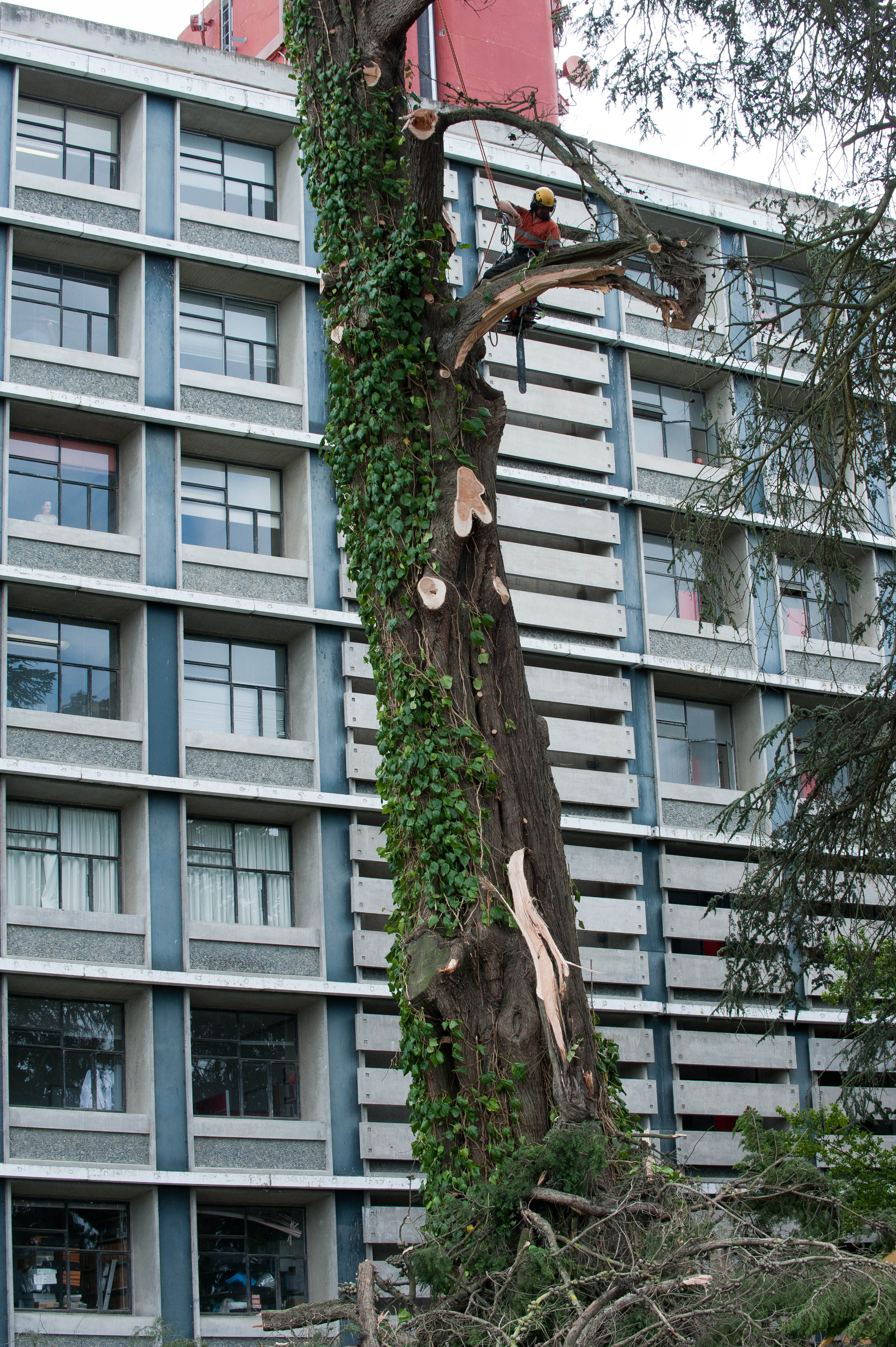 Hilgendorf Redevelopment 123