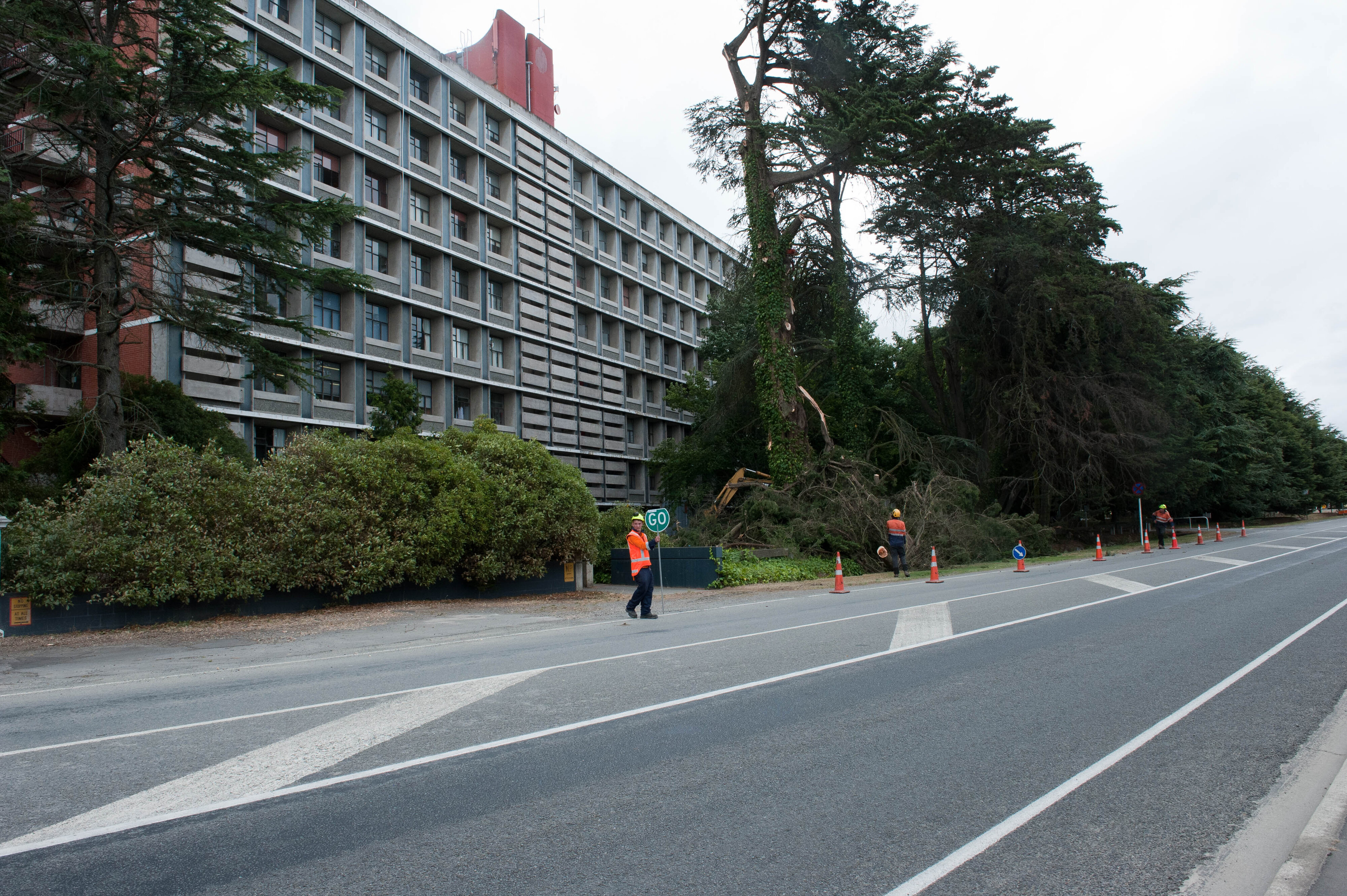 Hilgendorf Redevelopment 124