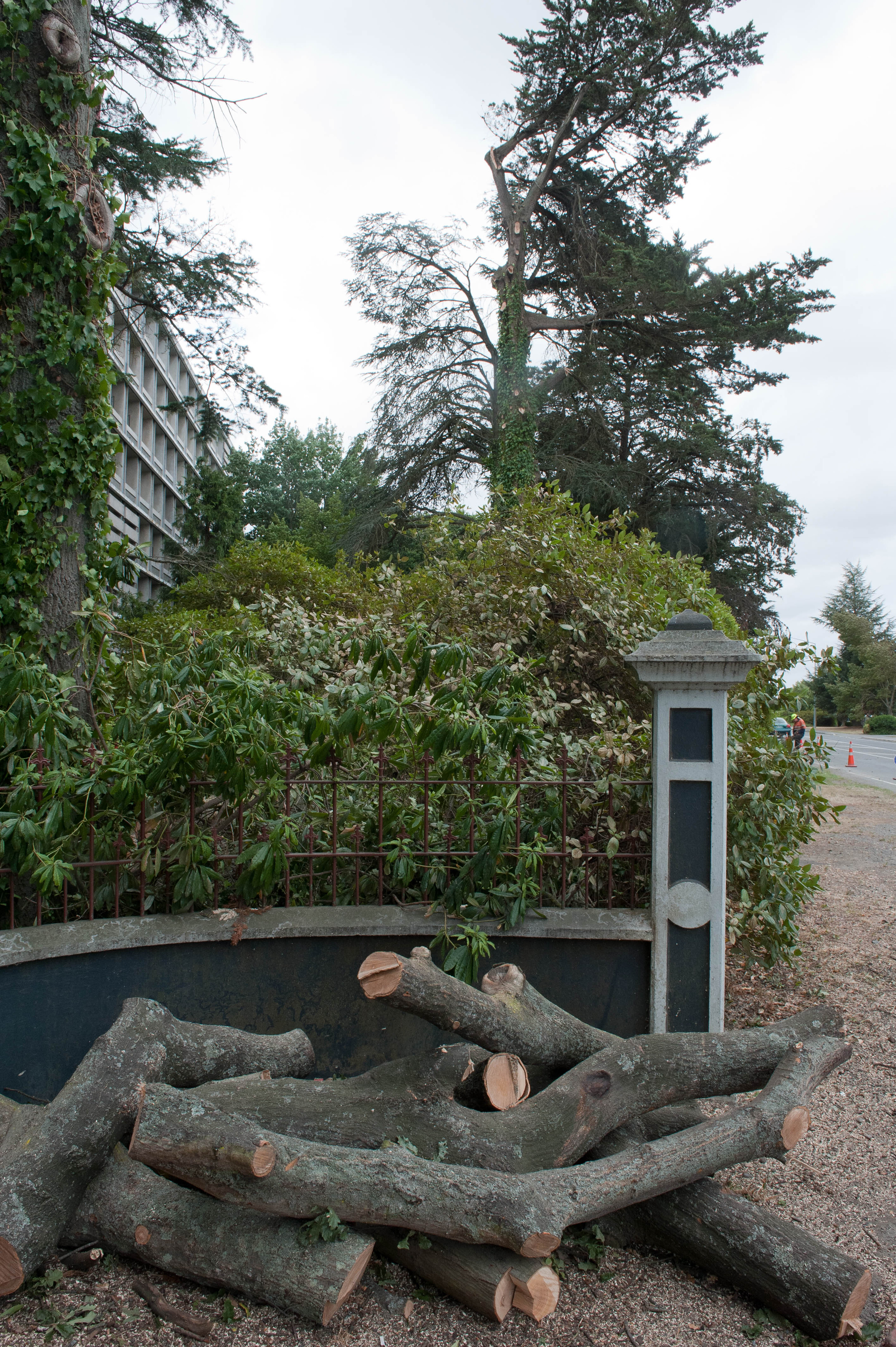 Hilgendorf Redevelopment 125