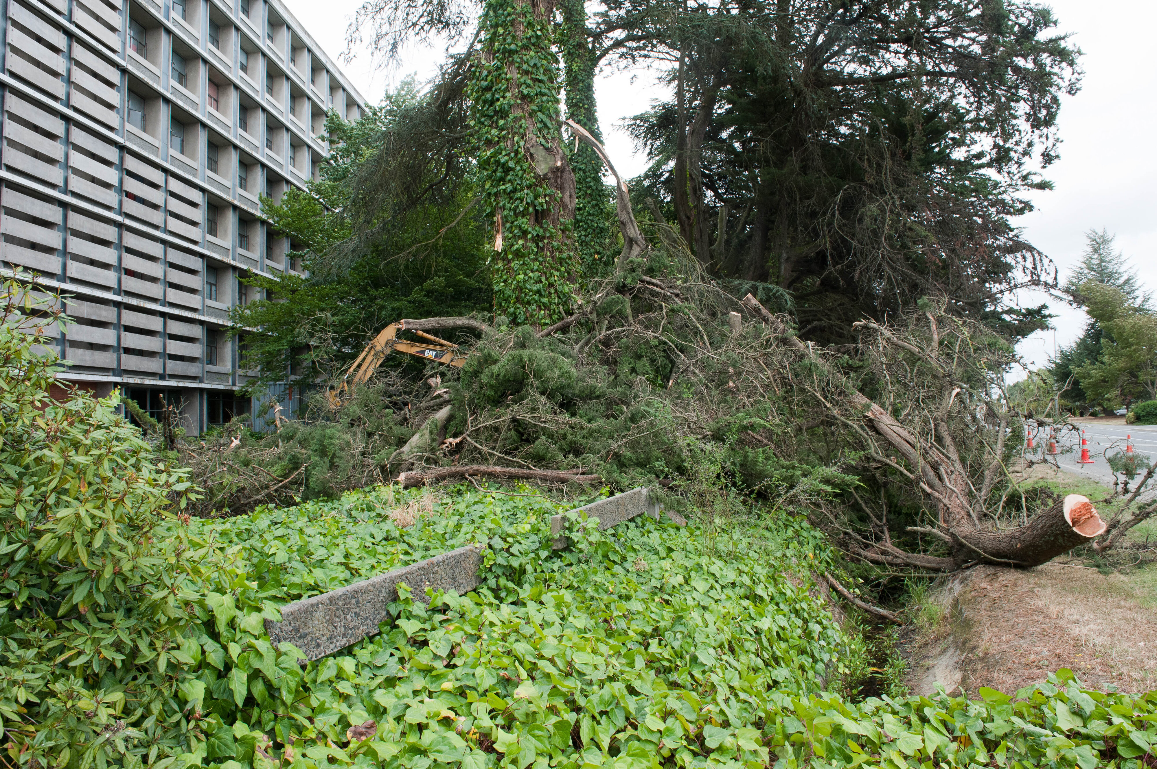 Hilgendorf Redevelopment 126