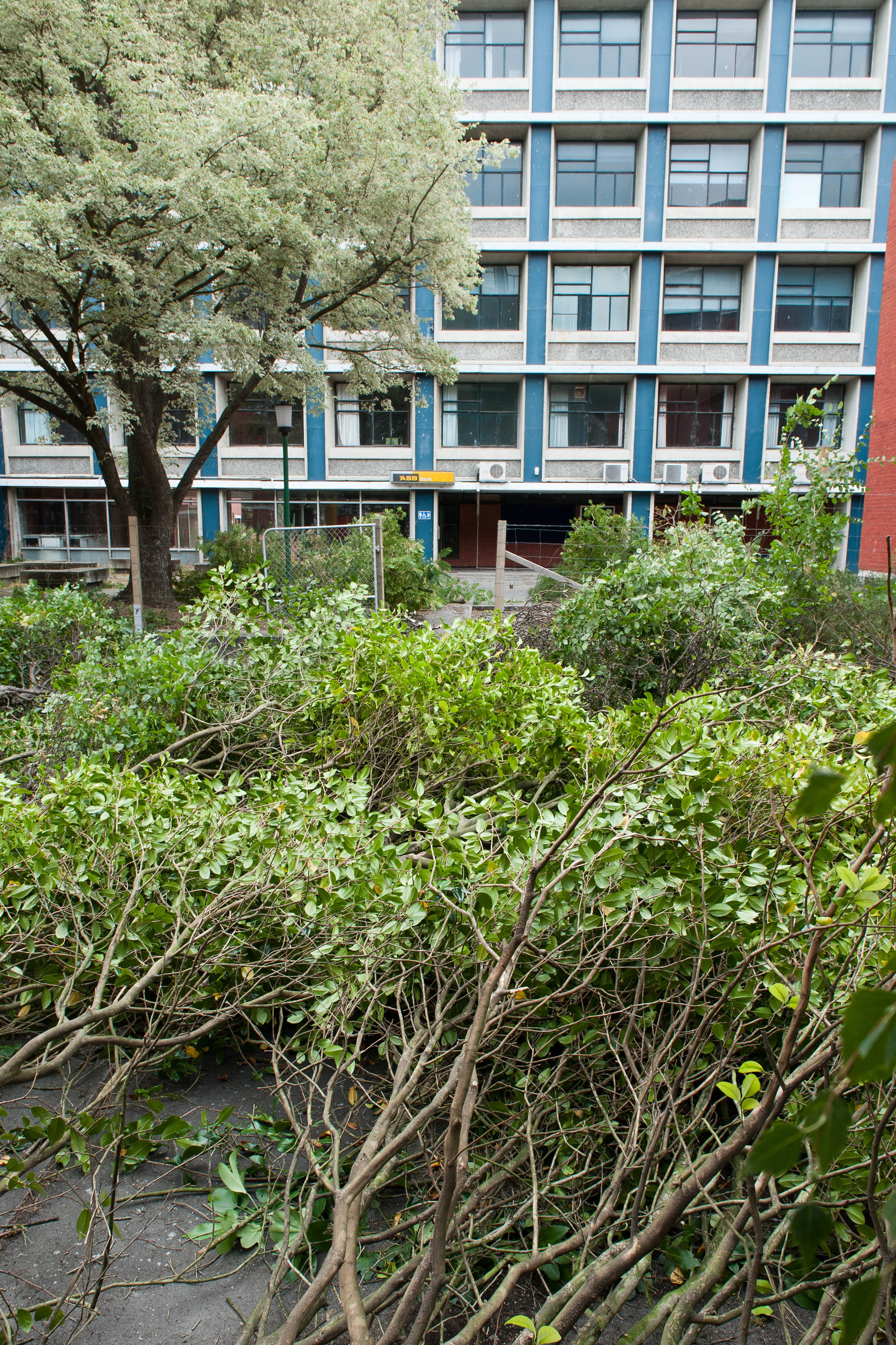 Hilgendorf Redevelopment 127