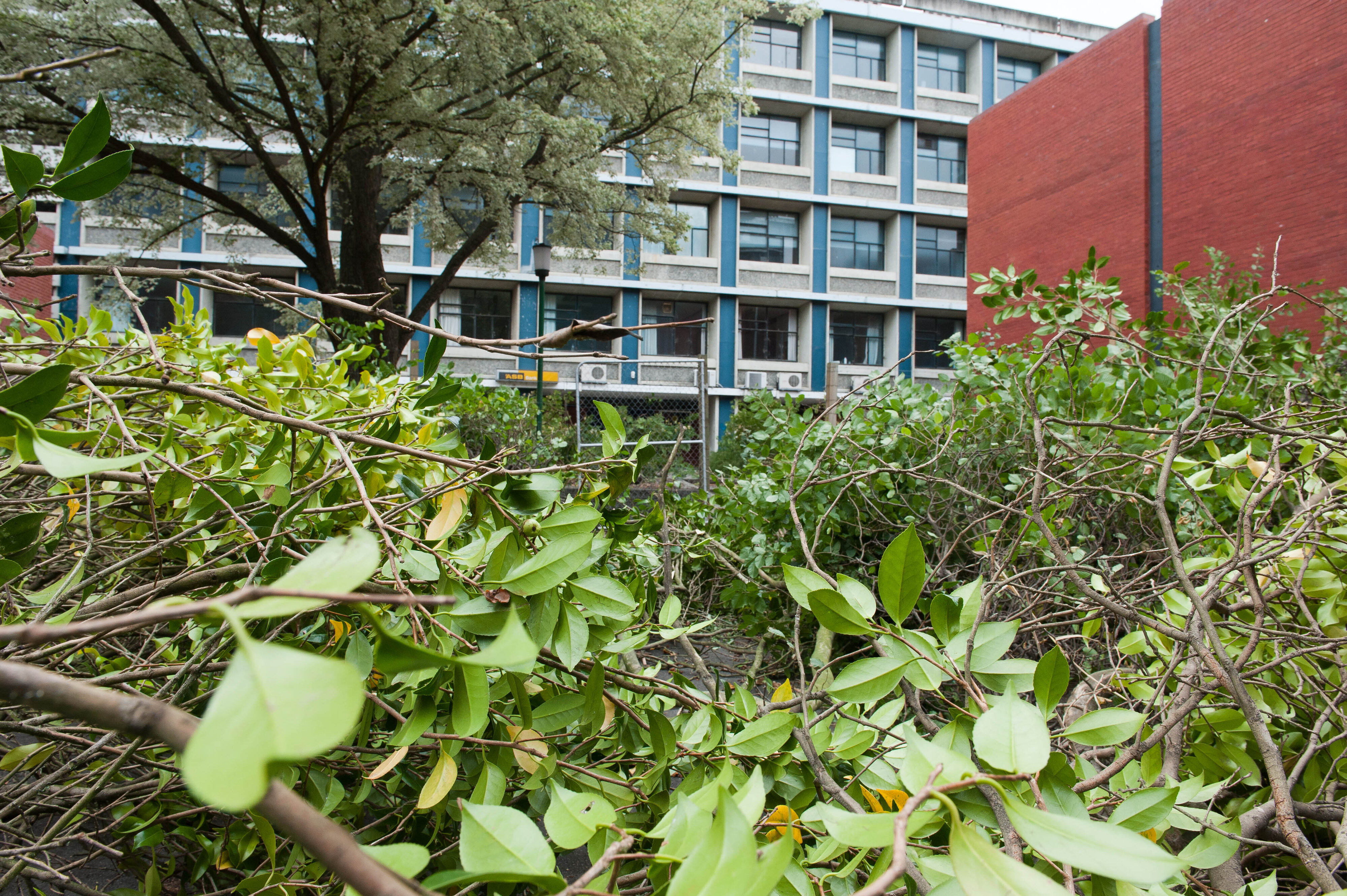 Hilgendorf Redevelopment 128