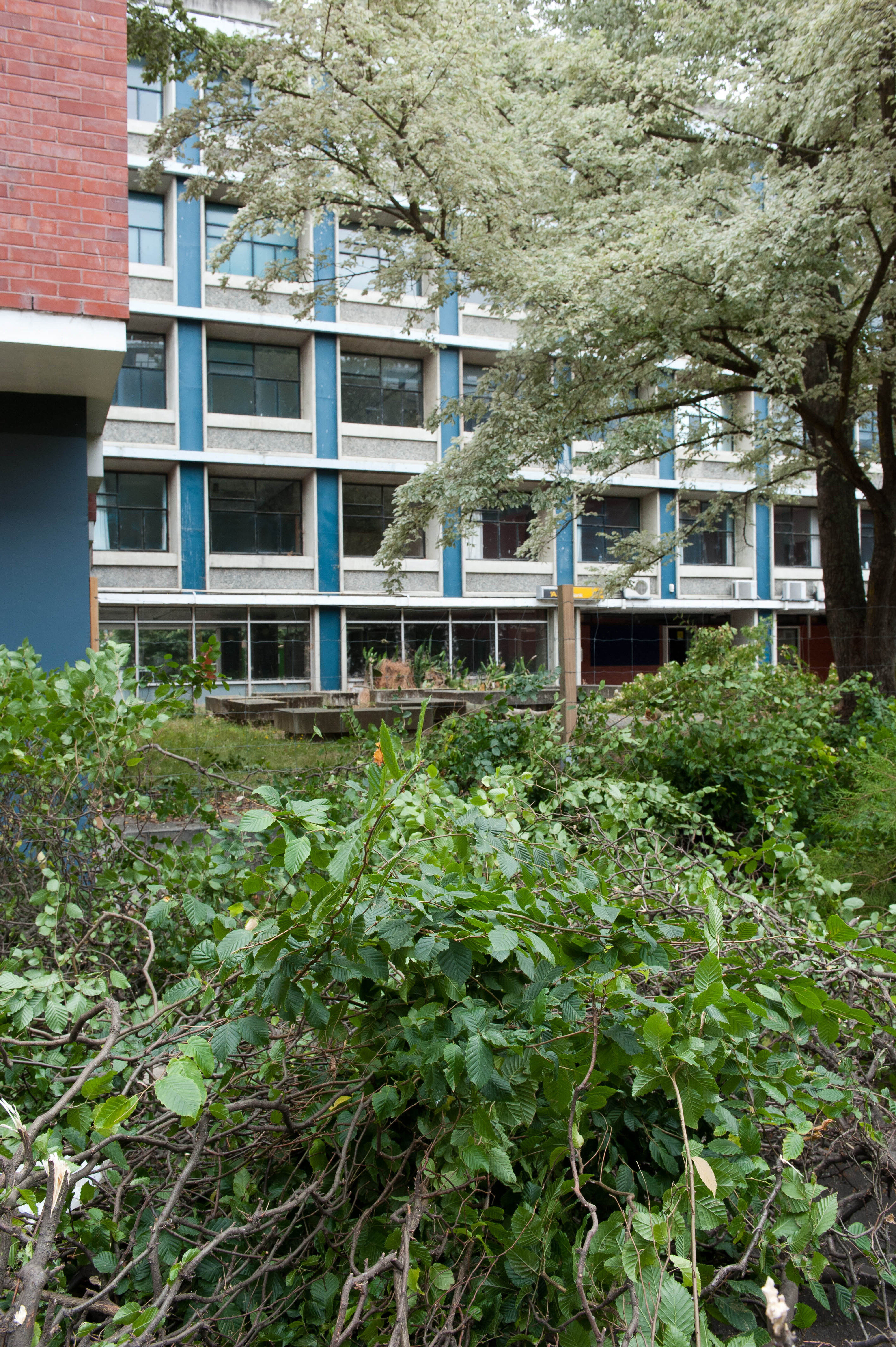 Hilgendorf Redevelopment 129