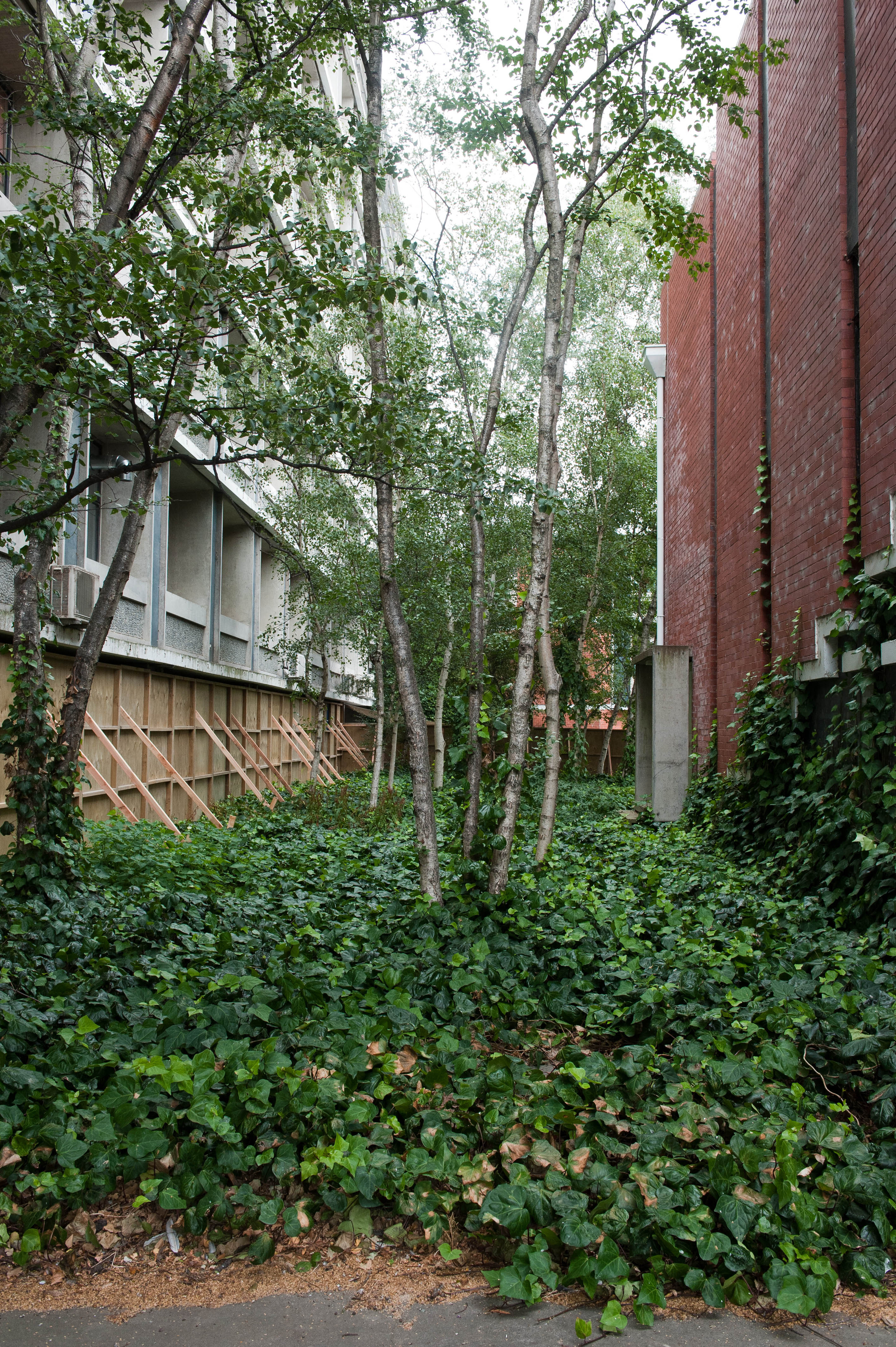 Hilgendorf Redevelopment 132