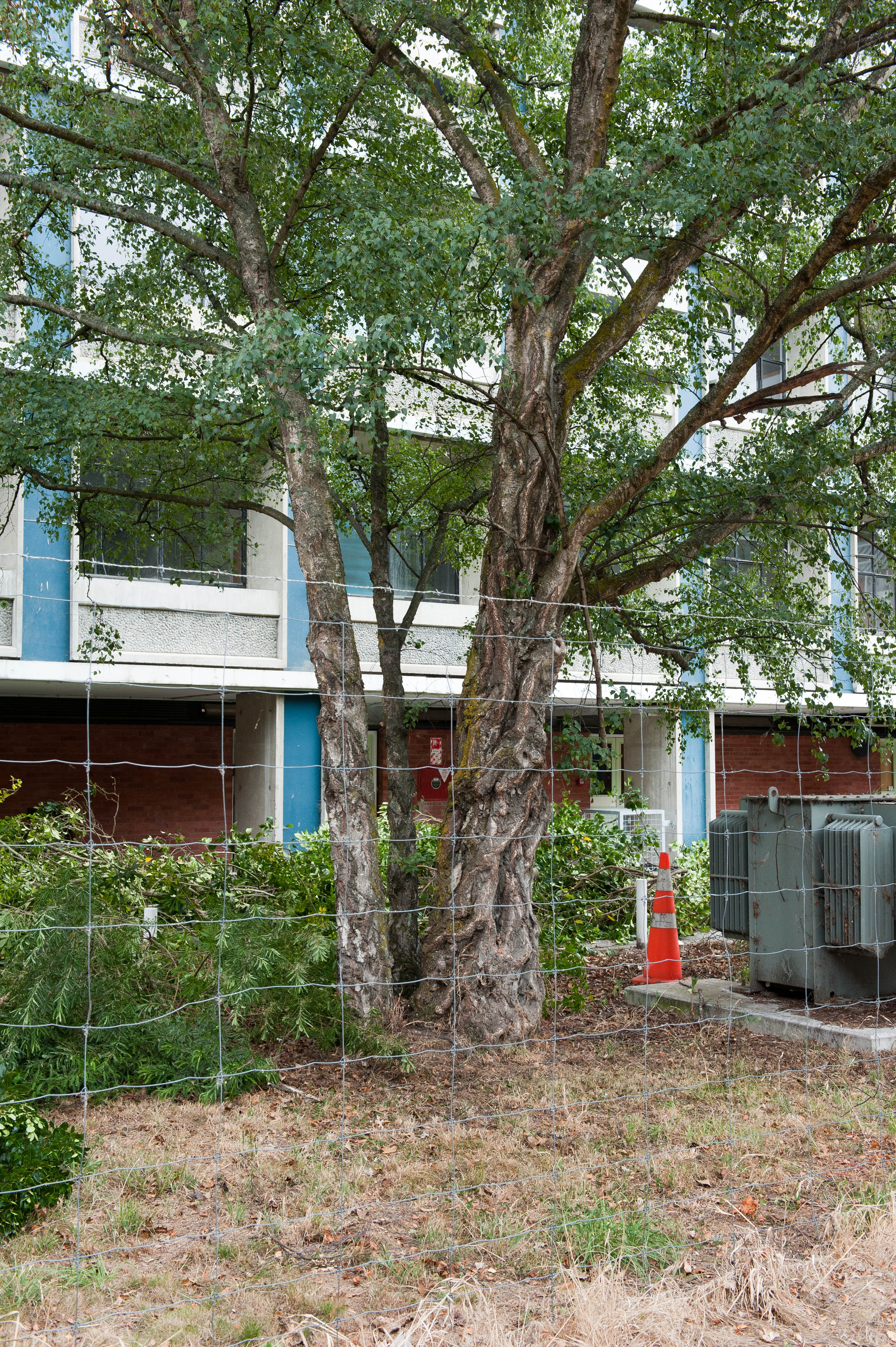 Hilgendorf Redevelopment 133