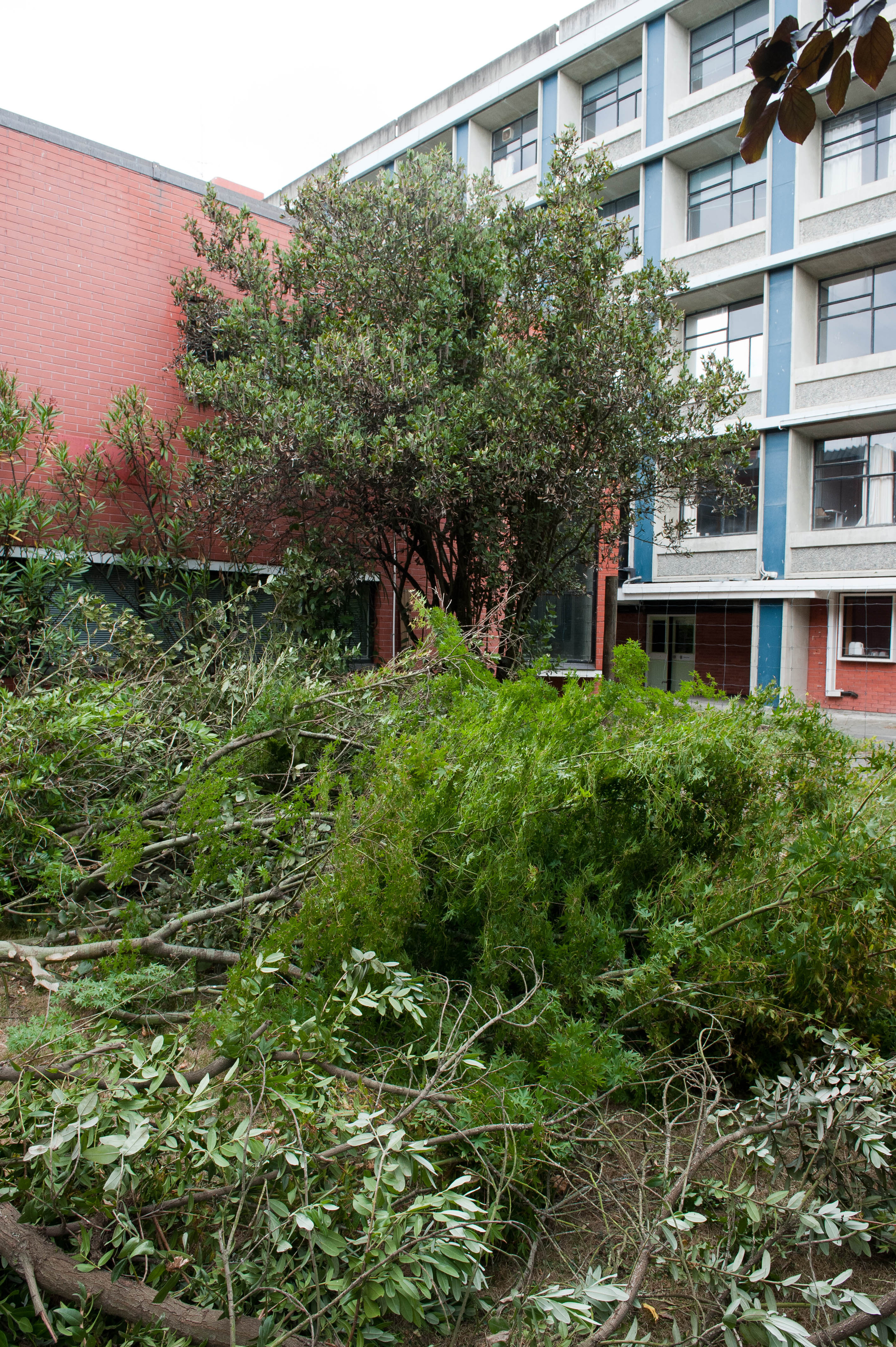 Hilgendorf Redevelopment 135
