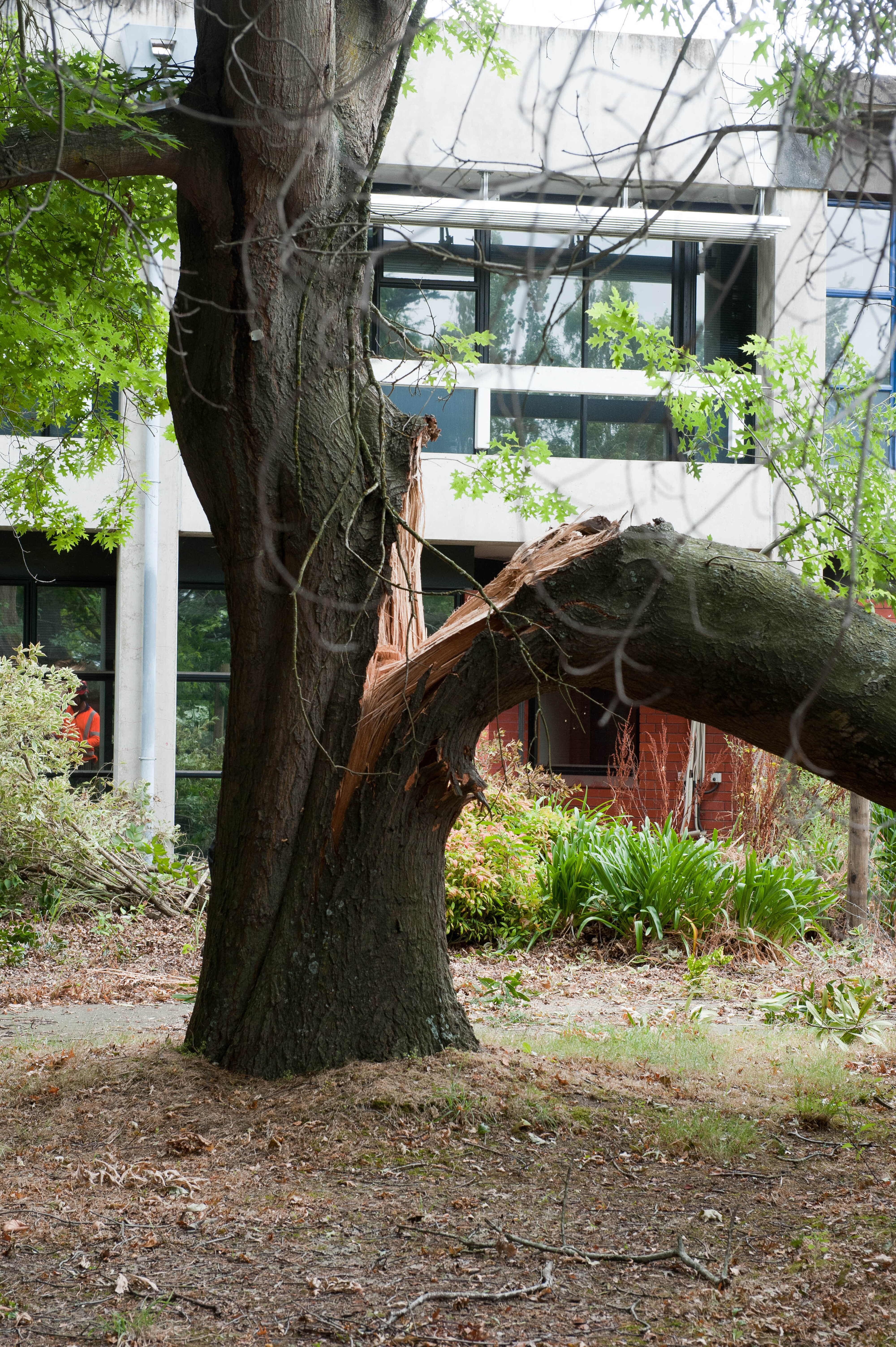 Hilgendorf Redevelopment 136