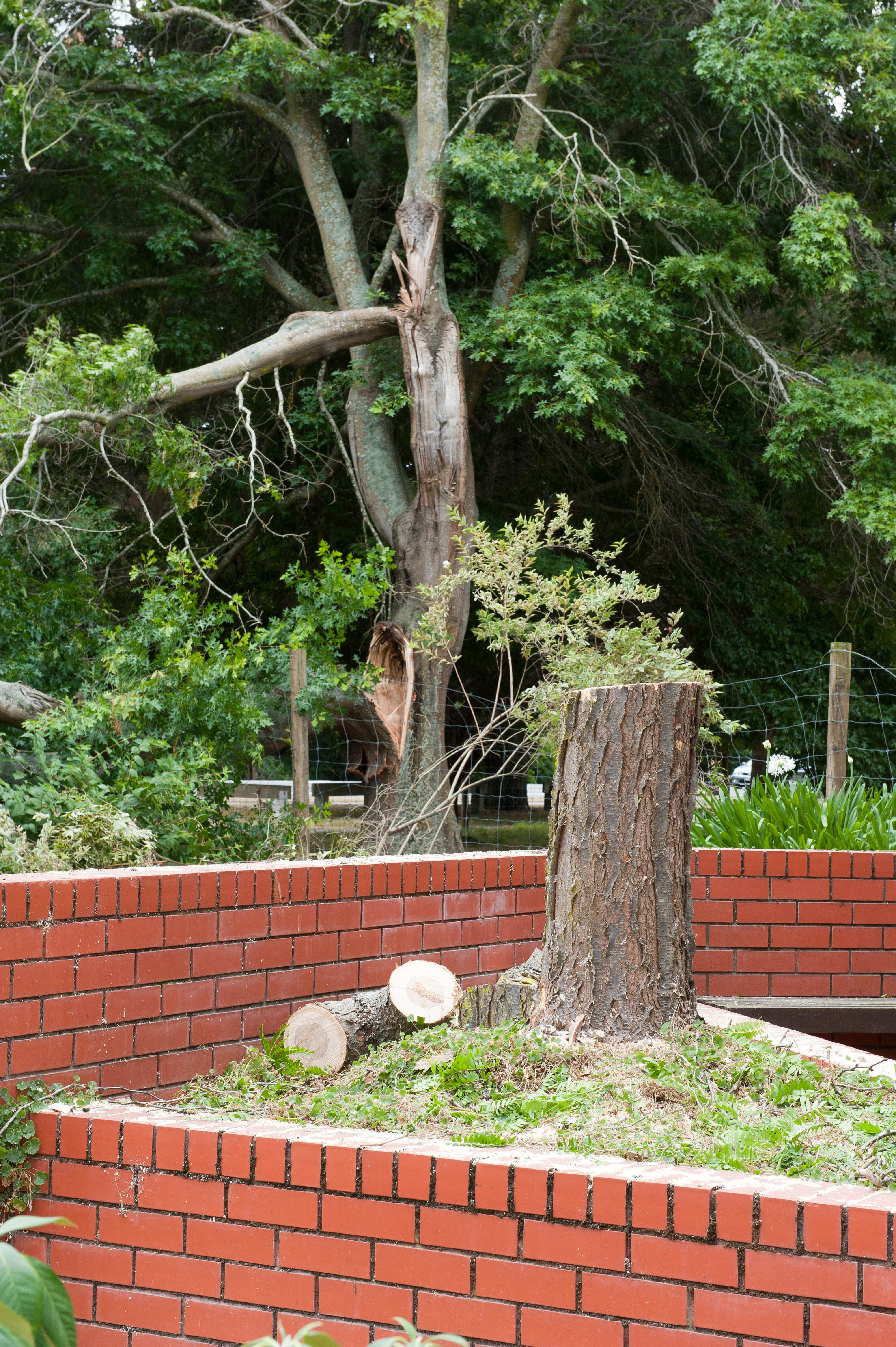 Hilgendorf Redevelopment 138