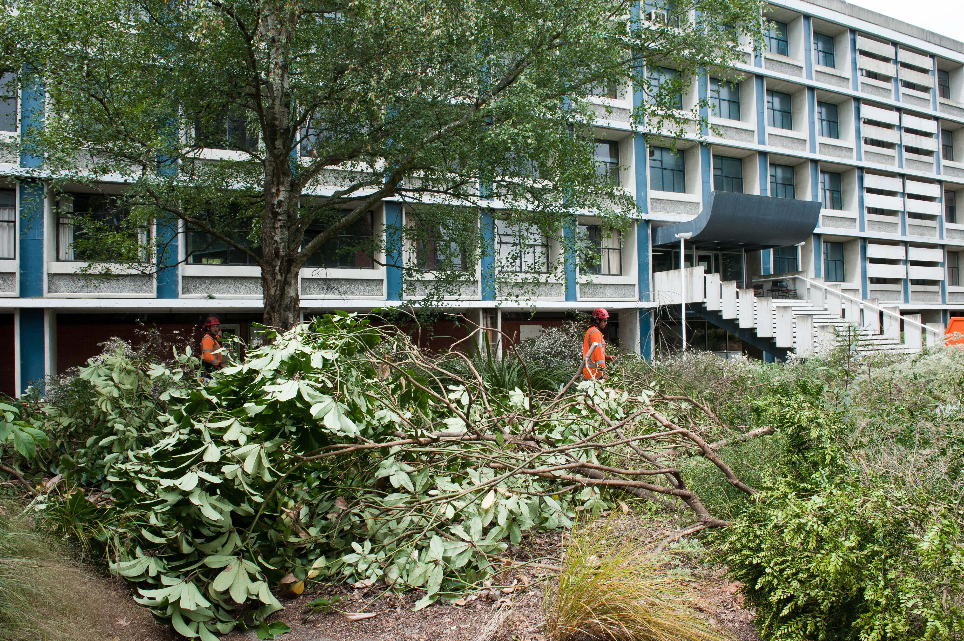 Hilgendorf Redevelopment 139