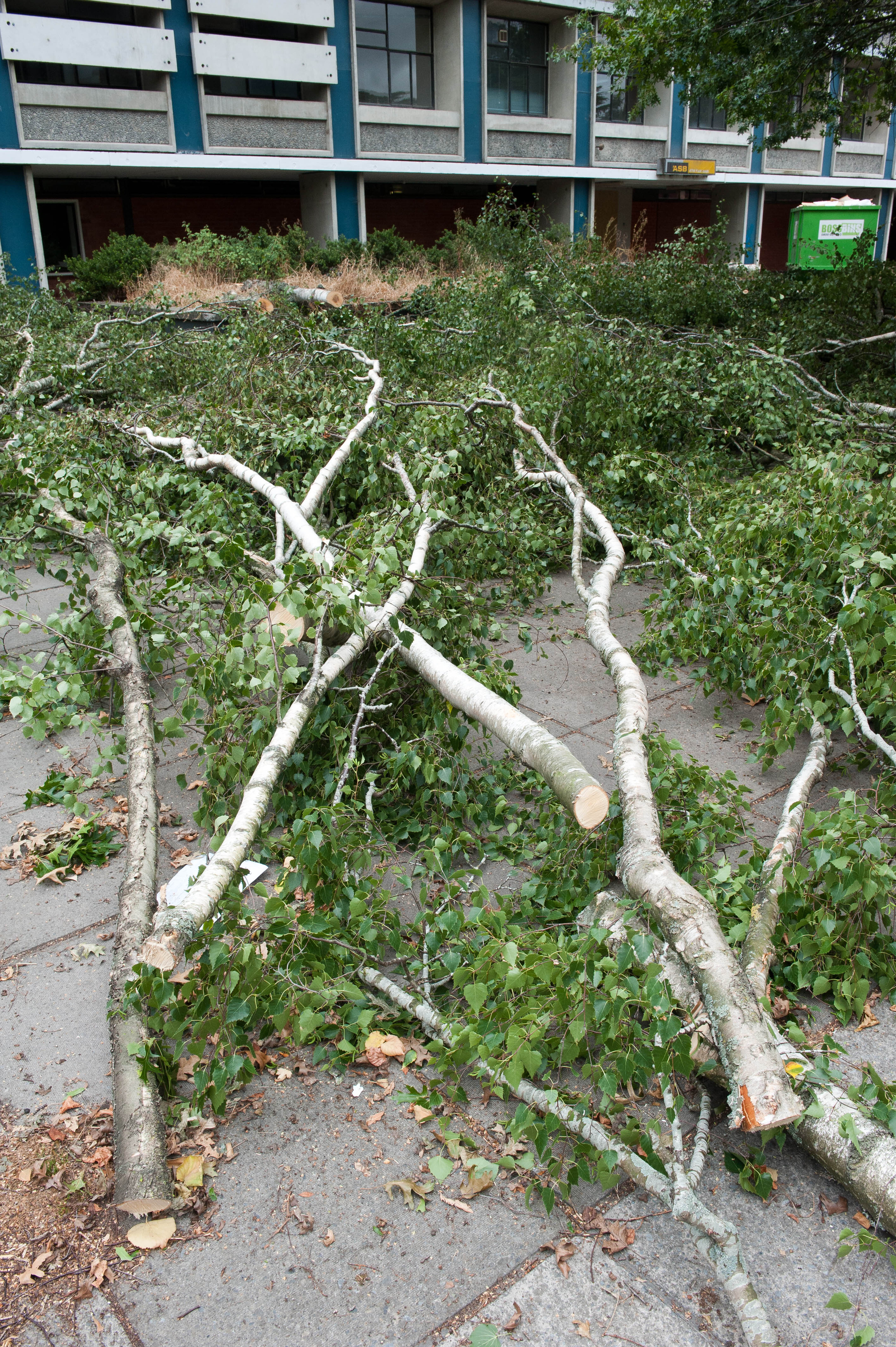 Hilgendorf Redevelopment 143